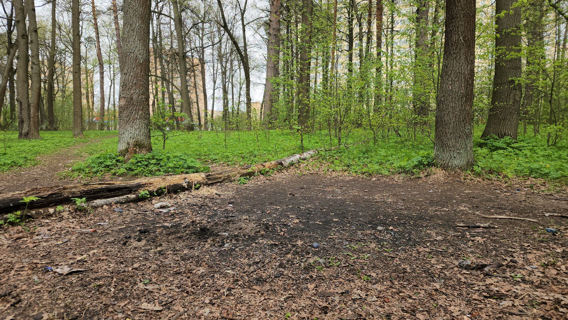 пожароопасный сезон, штрафы за разведение костров, экология подмосковья, отдых в подмосковье,
