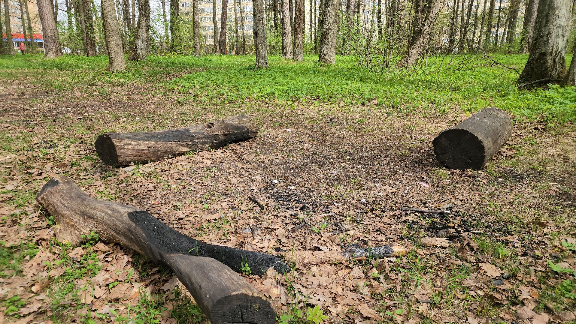 пожароопасный сезон, штрафы за разведение костров, экология подмосковья, отдых в подмосковье,