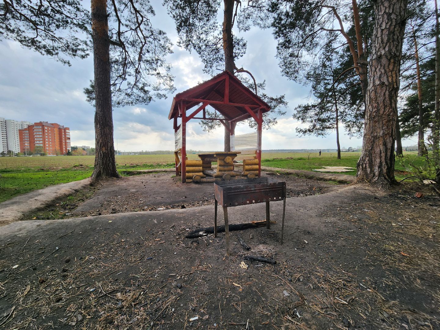 Черноголовка, пикниковые зоны, Штрафы,