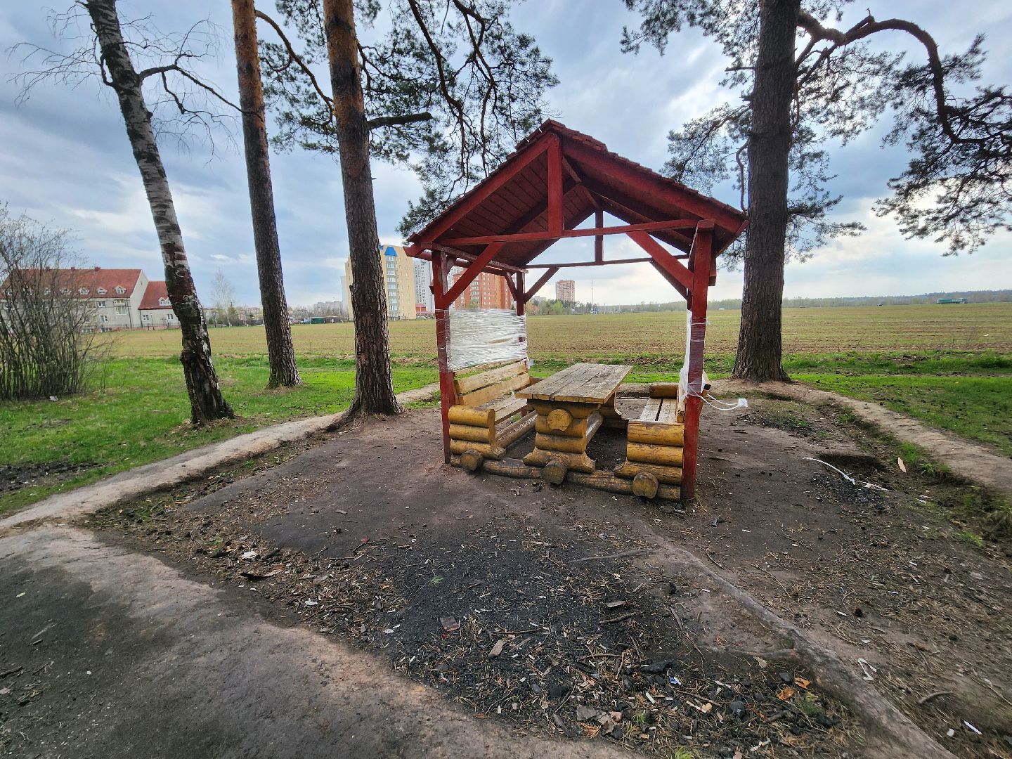 Черноголовка, пикниковые зоны, Штрафы,