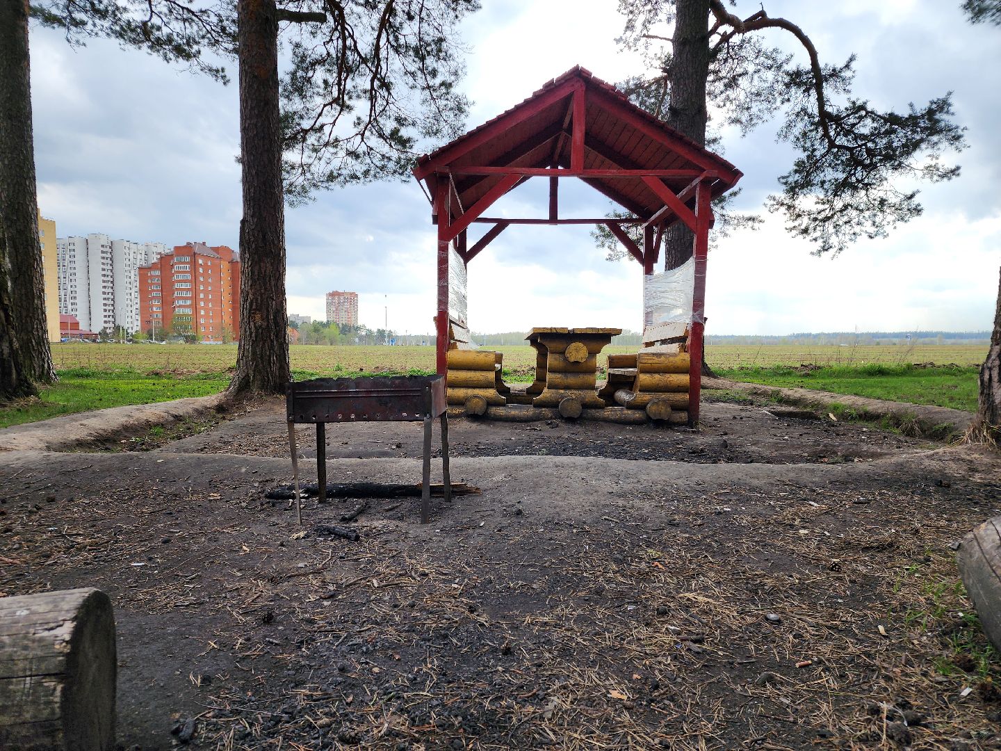 Черноголовка, пикниковые зоны, Штрафы,