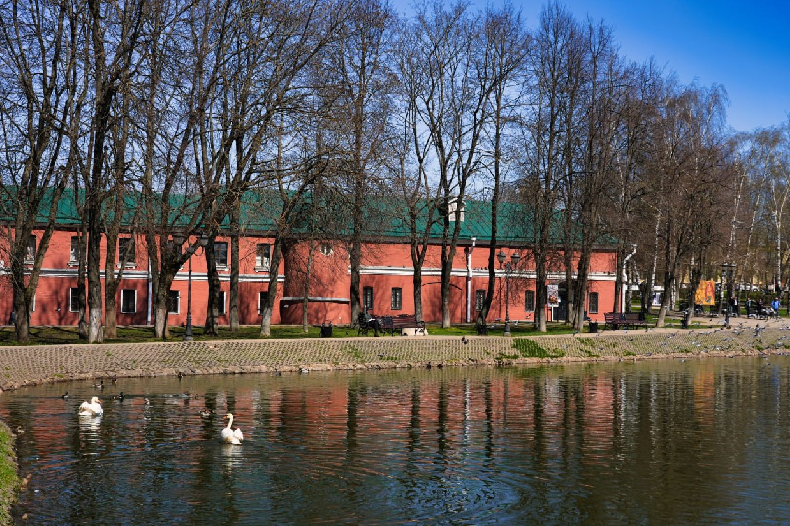 Сергиев Посад, Лебеди, Белый пруд, Общество, Жители, Природа,