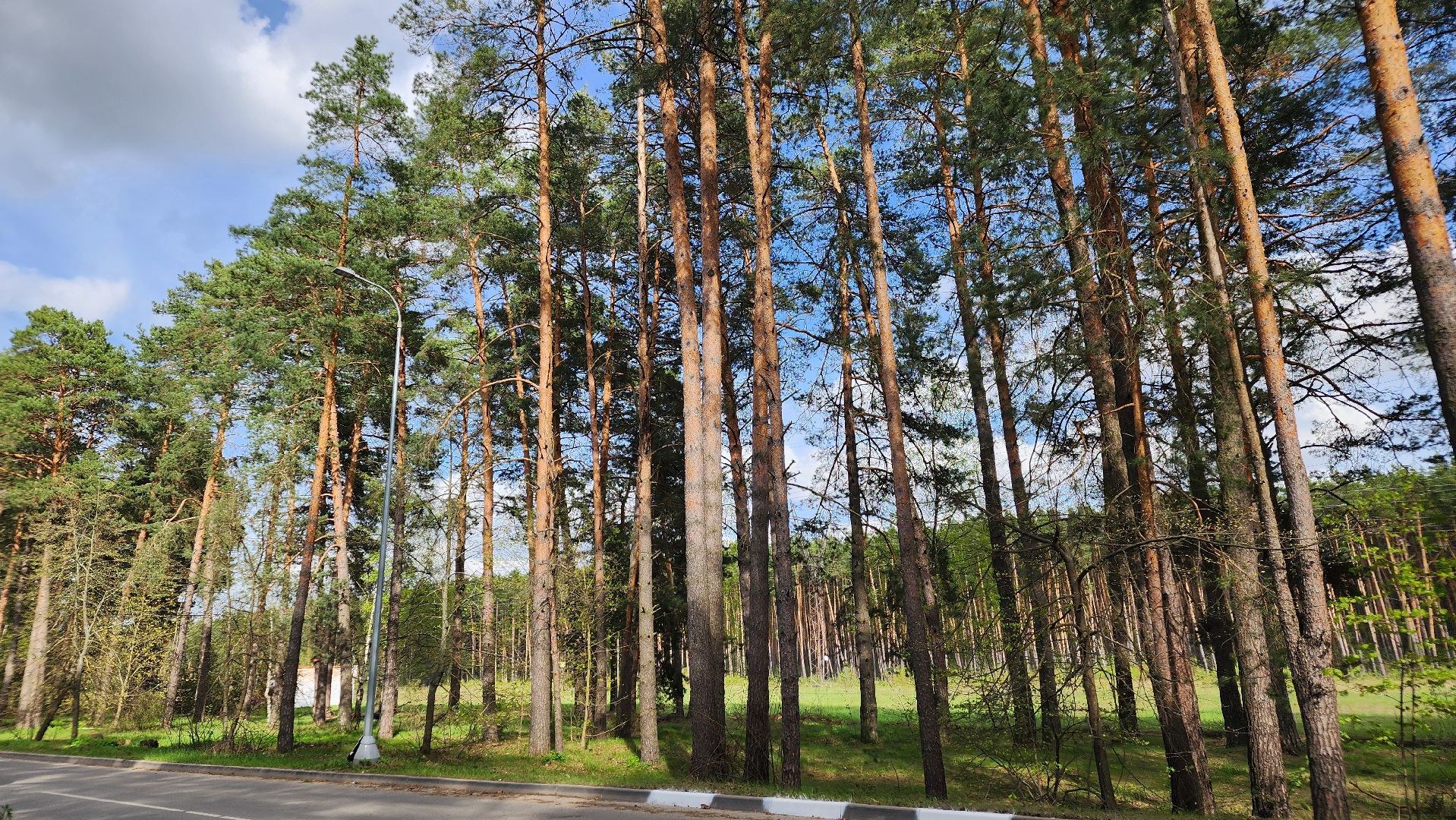 обход, городские территории, протвино, внимание, благоустройство,