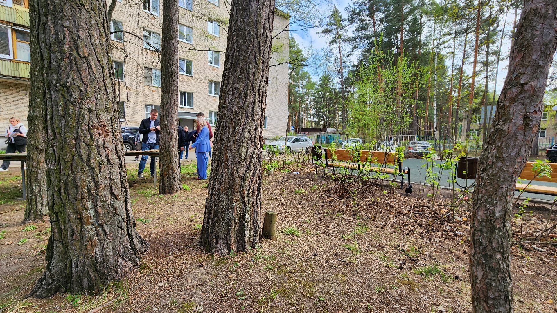 обход, городские территории, протвино, внимание, благоустройство,