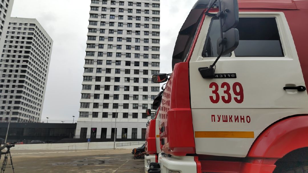 Пушкинский округ, Пушкино, безопасность, люди, пожары, МЧС, лесная охрана