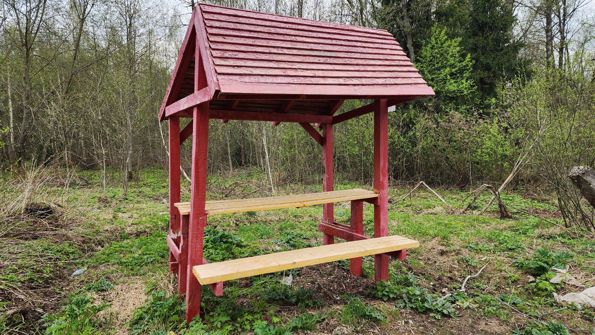 Солнечногорск, Пешки, Лесхоз, пикник,