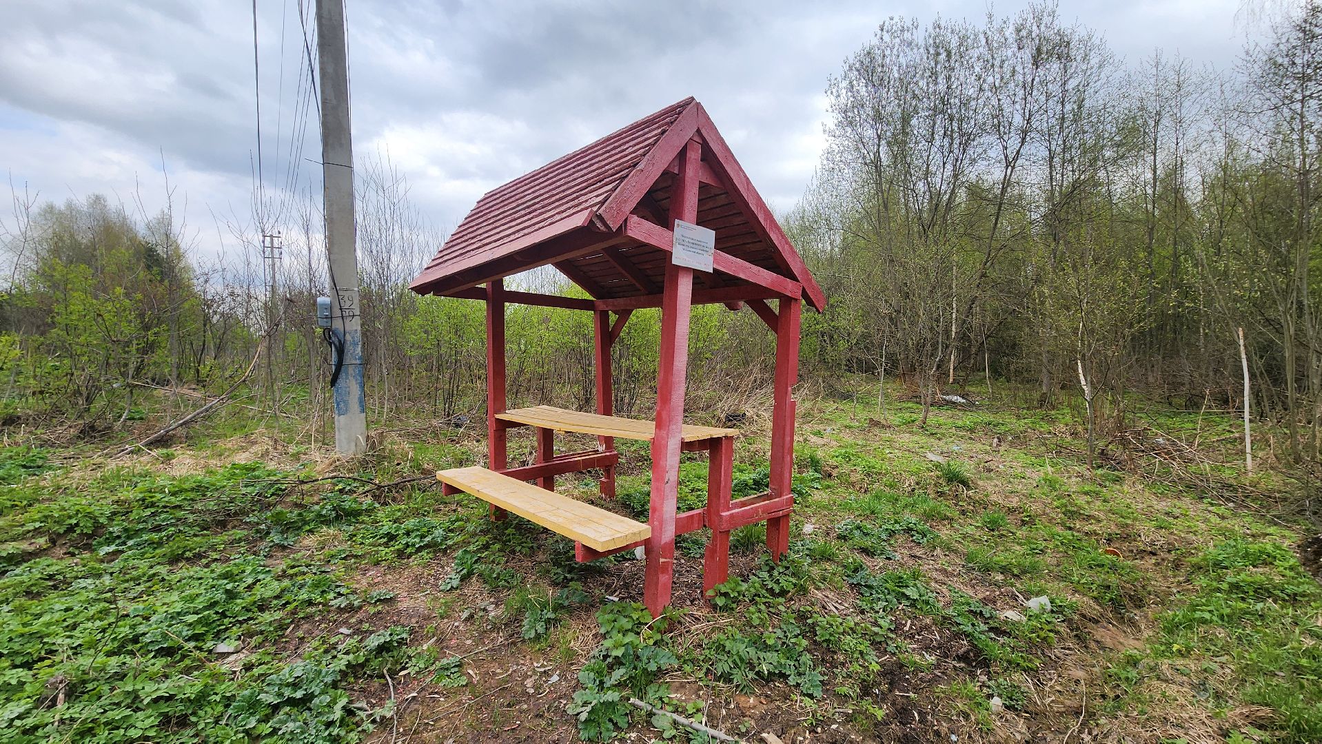 Солнечногорск, Пешки, Лесхоз, пикник,
