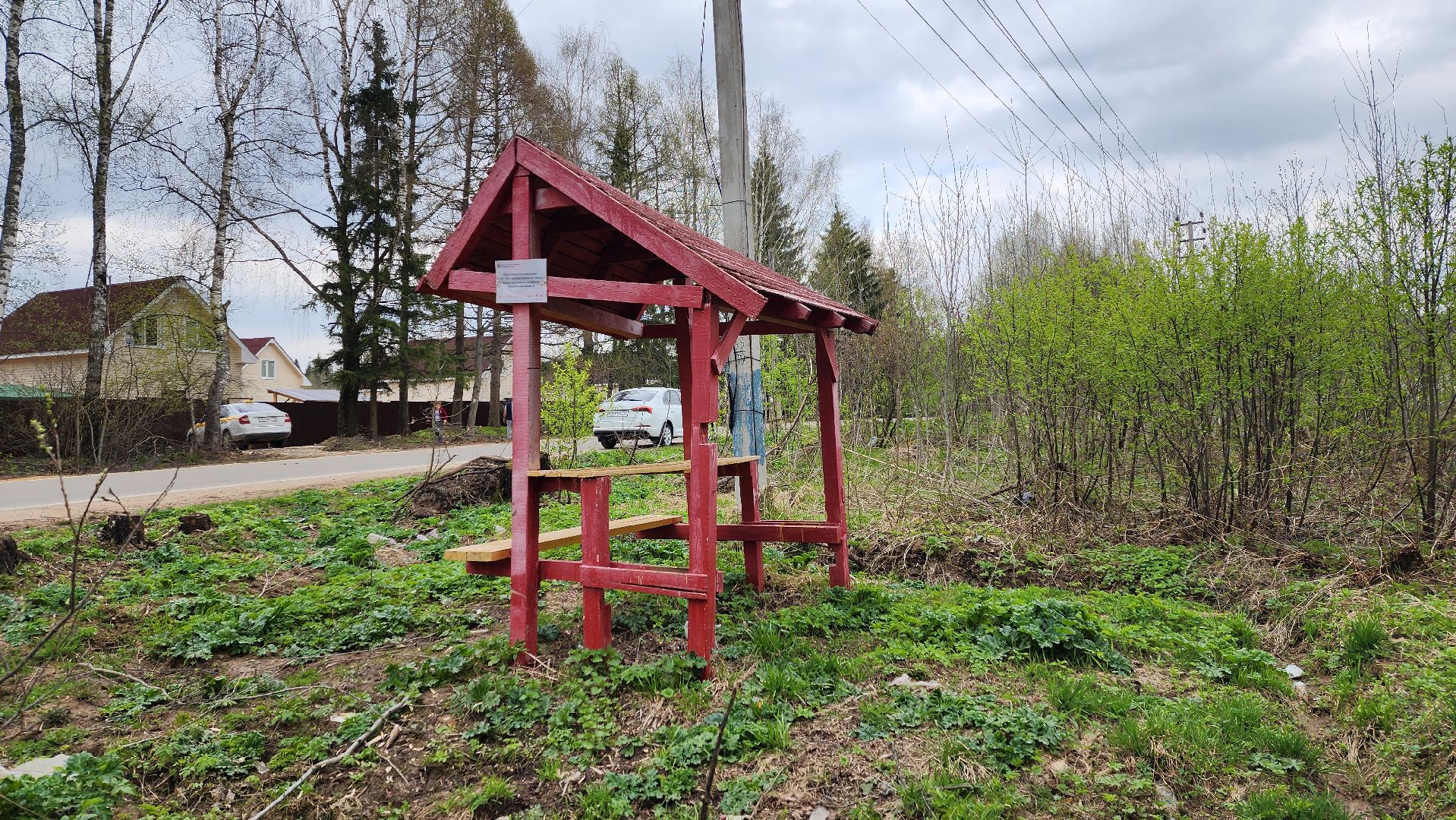 Солнечногорск, Пешки, Лесхоз, пикник,
