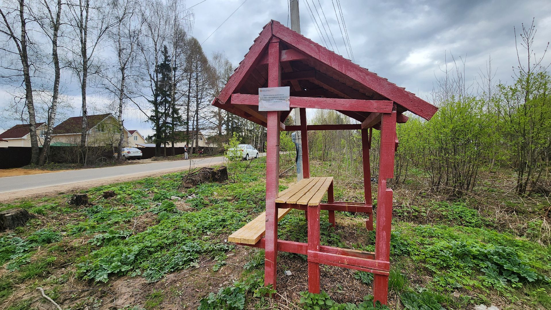 Солнечногорск, Пешки, Лесхоз, пикник,