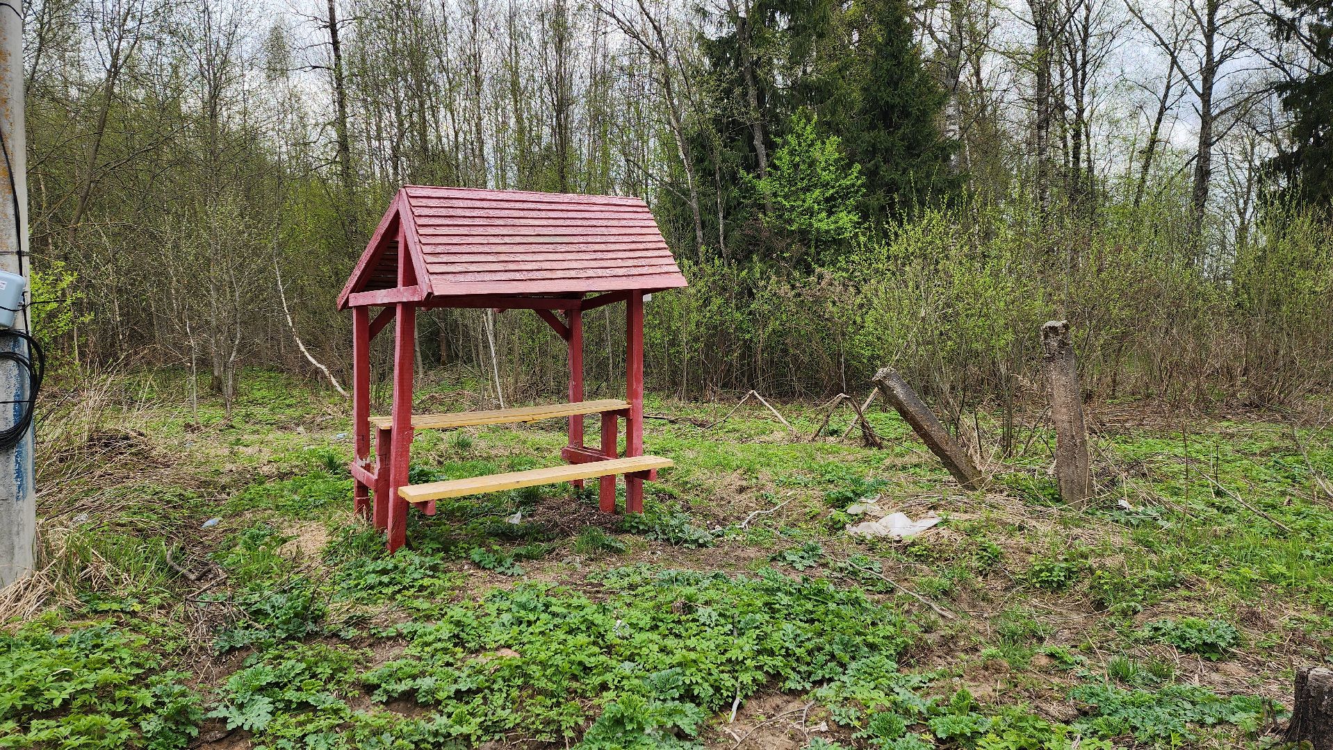 Солнечногорск, Пешки, Лесхоз, пикник,