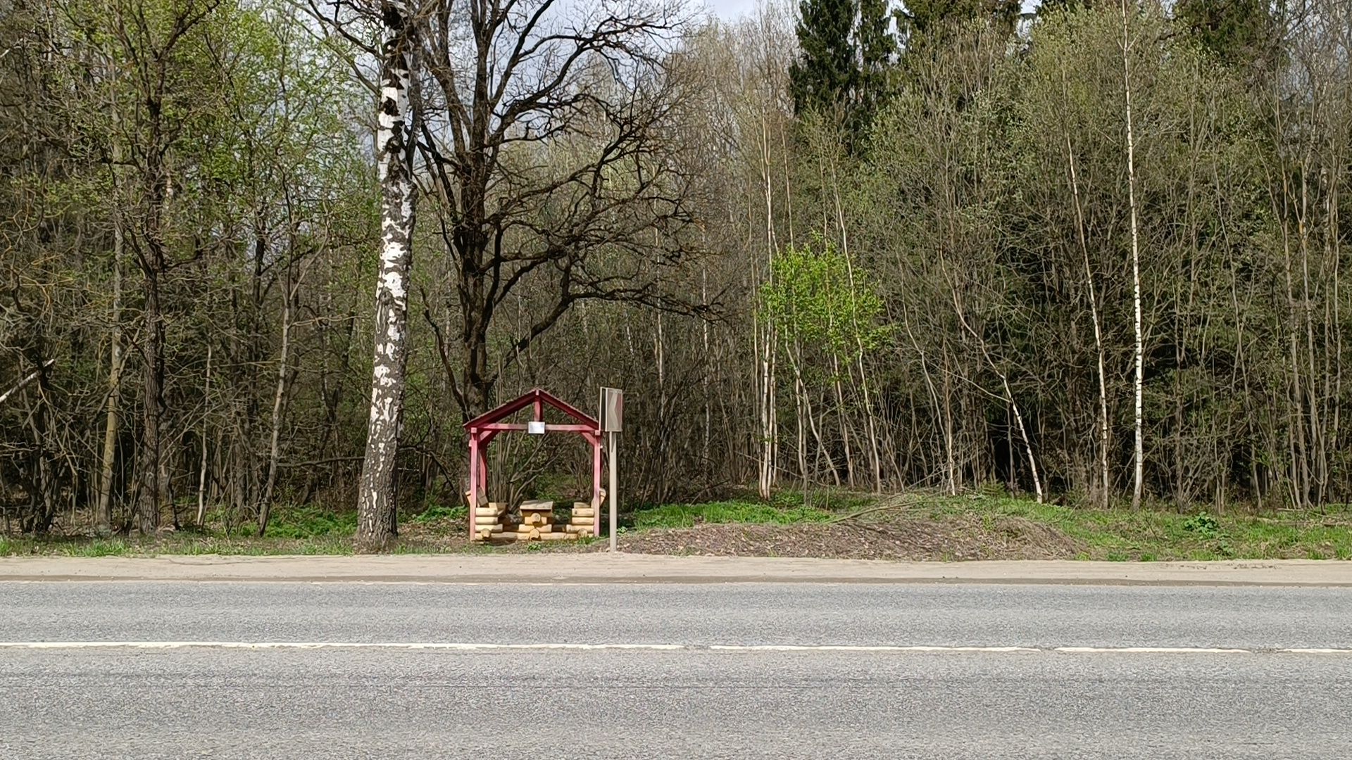 пикник, лобня, костер,