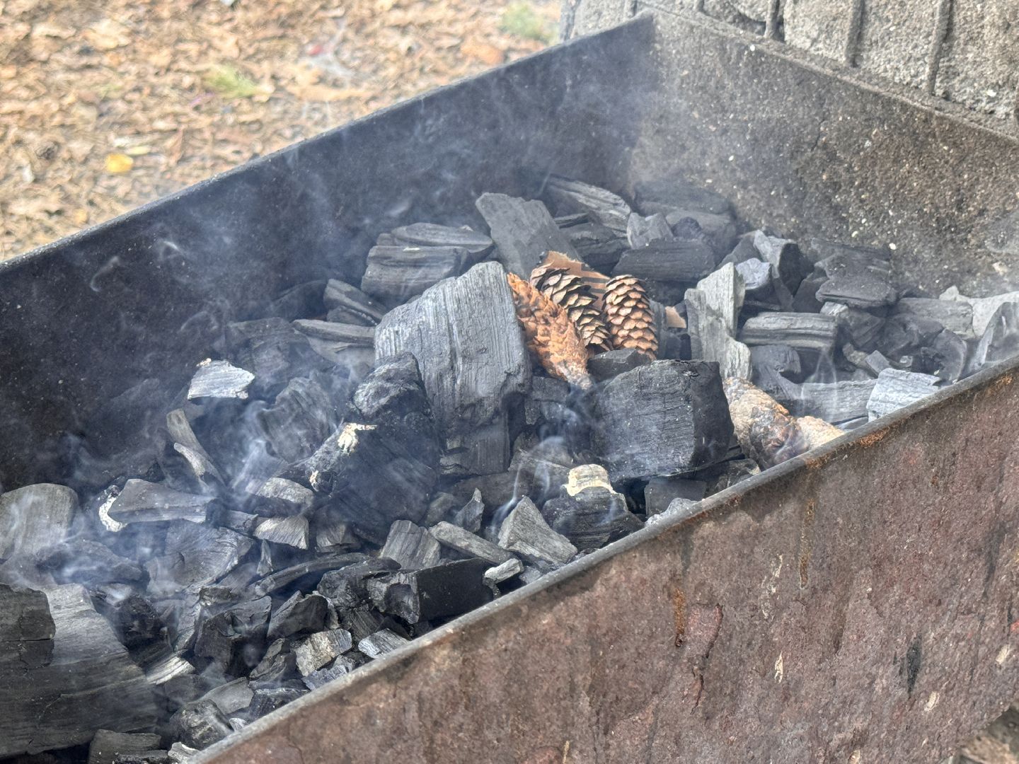 Одинцово, сезон шашлыков, зона барбекю,