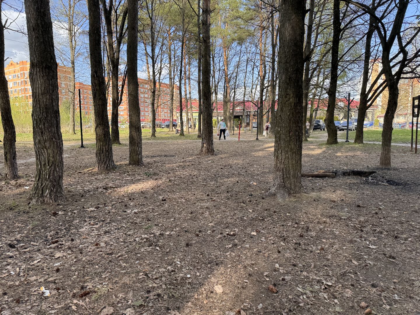 Одинцово, сезон шашлыков, зона барбекю,