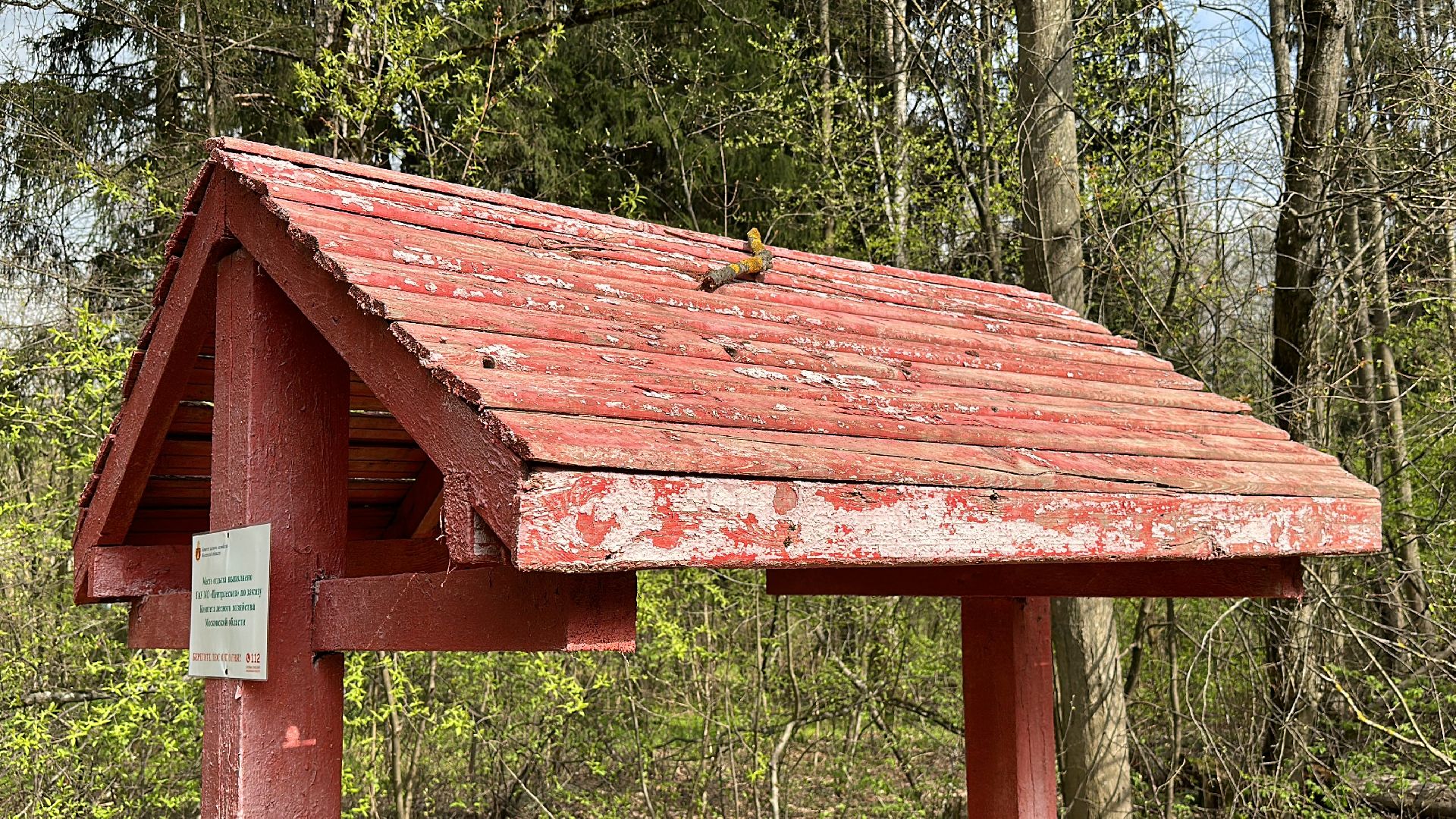 Клин, общество, безопасность, отдых на природе, лесные пожары,