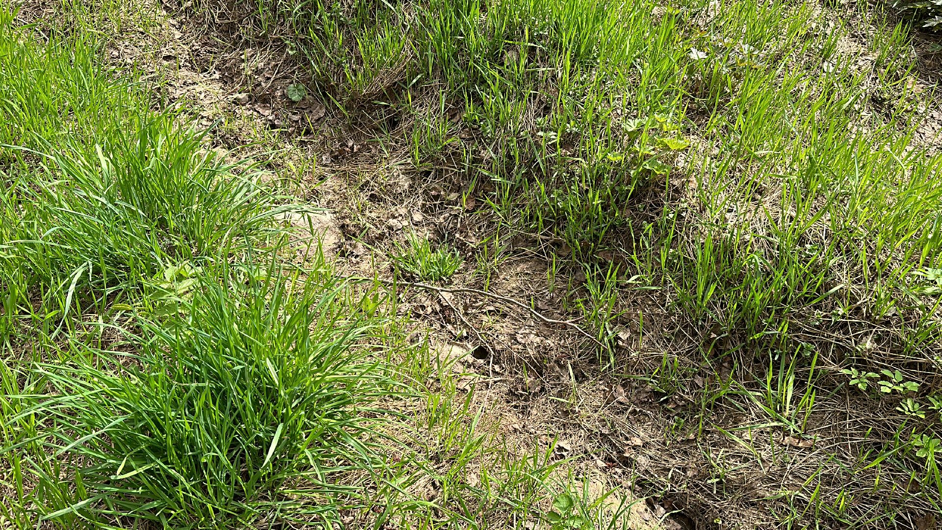 Клин, общество, безопасность, отдых на природе, лесные пожары,