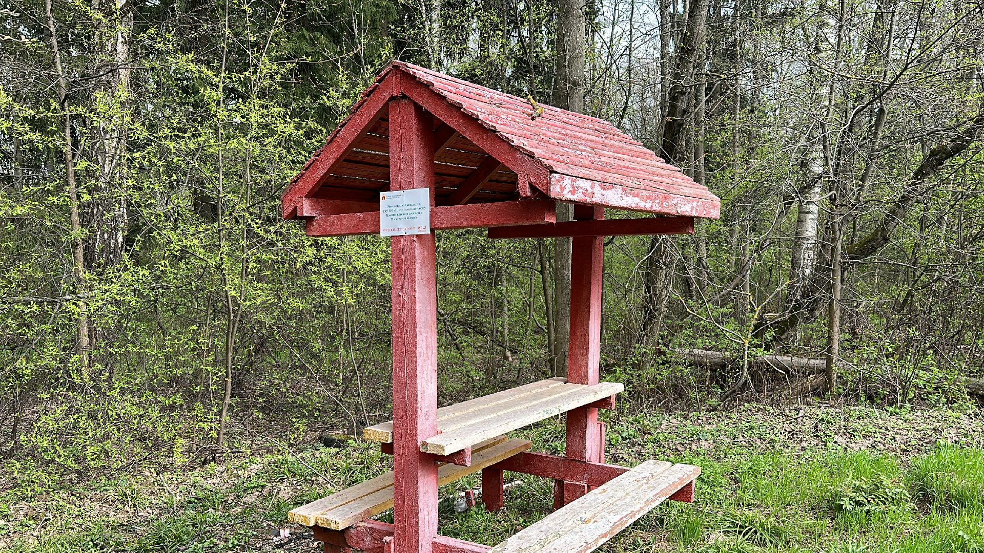 Клин, общество, безопасность, отдых на природе, лесные пожары,