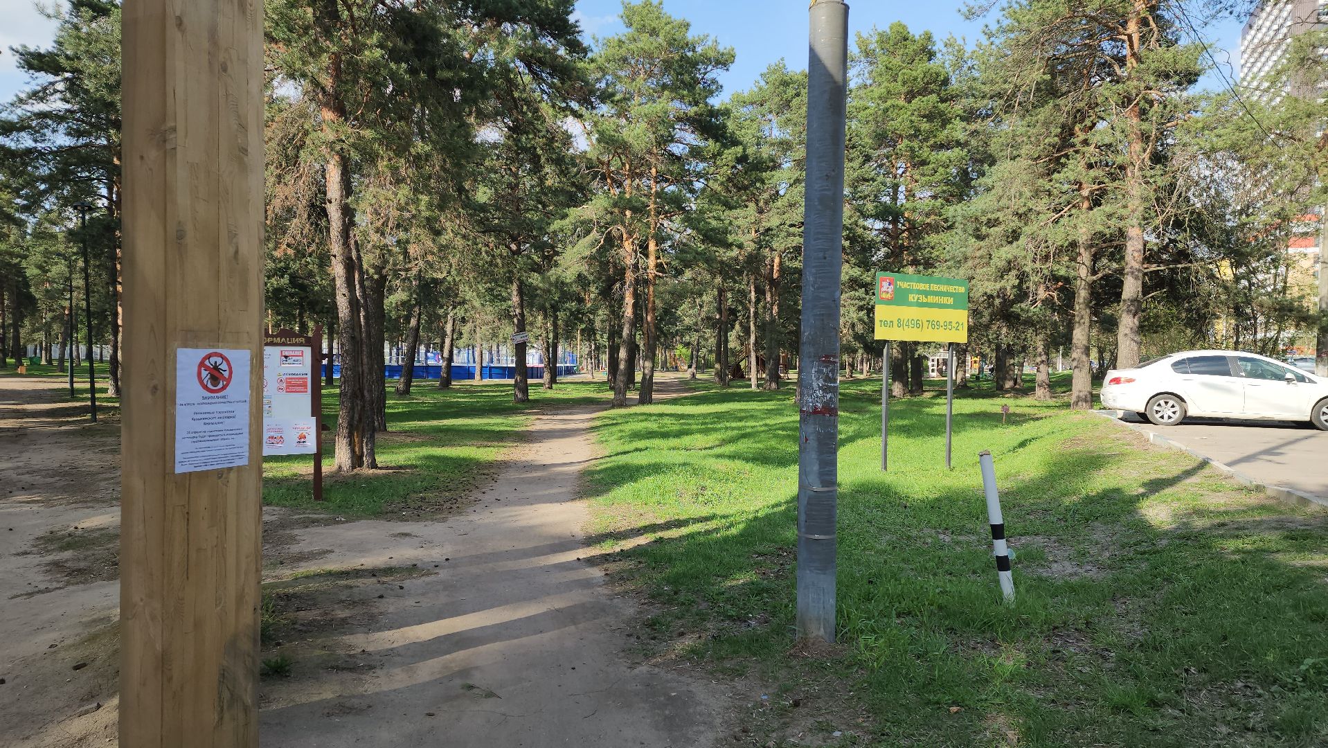 противоклещевая обработка, кузьминский лес,