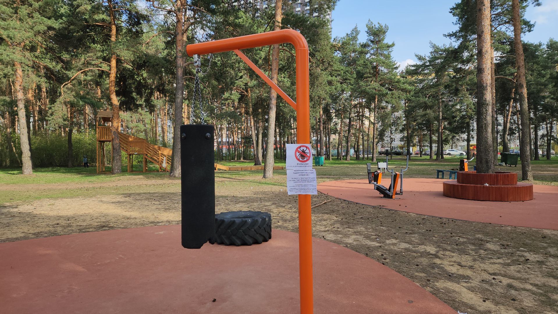 противоклещевая обработка, кузьминский лес,