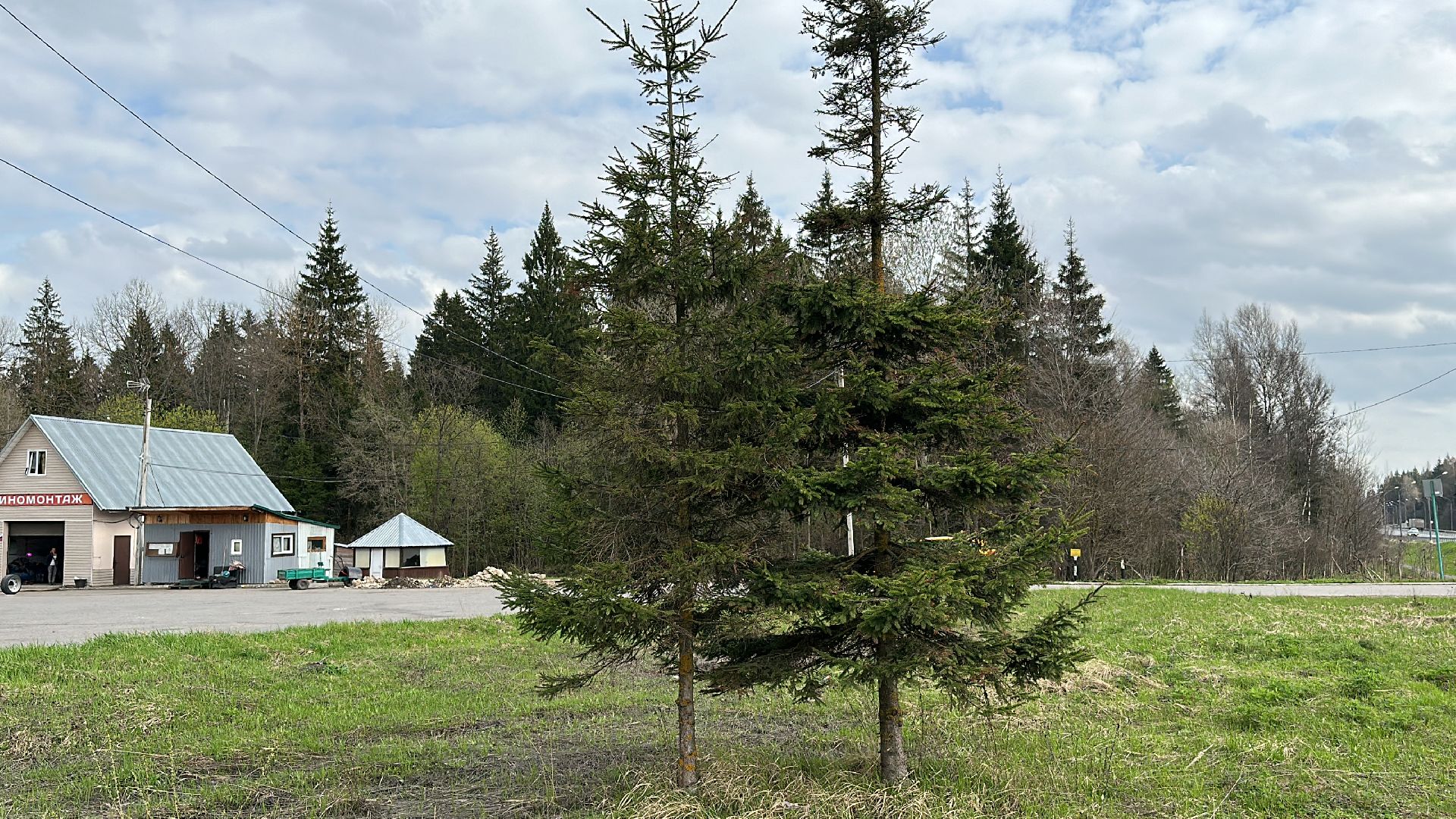Клин, общество, леса, безопасность, пожары в лесах, отдых на природе,