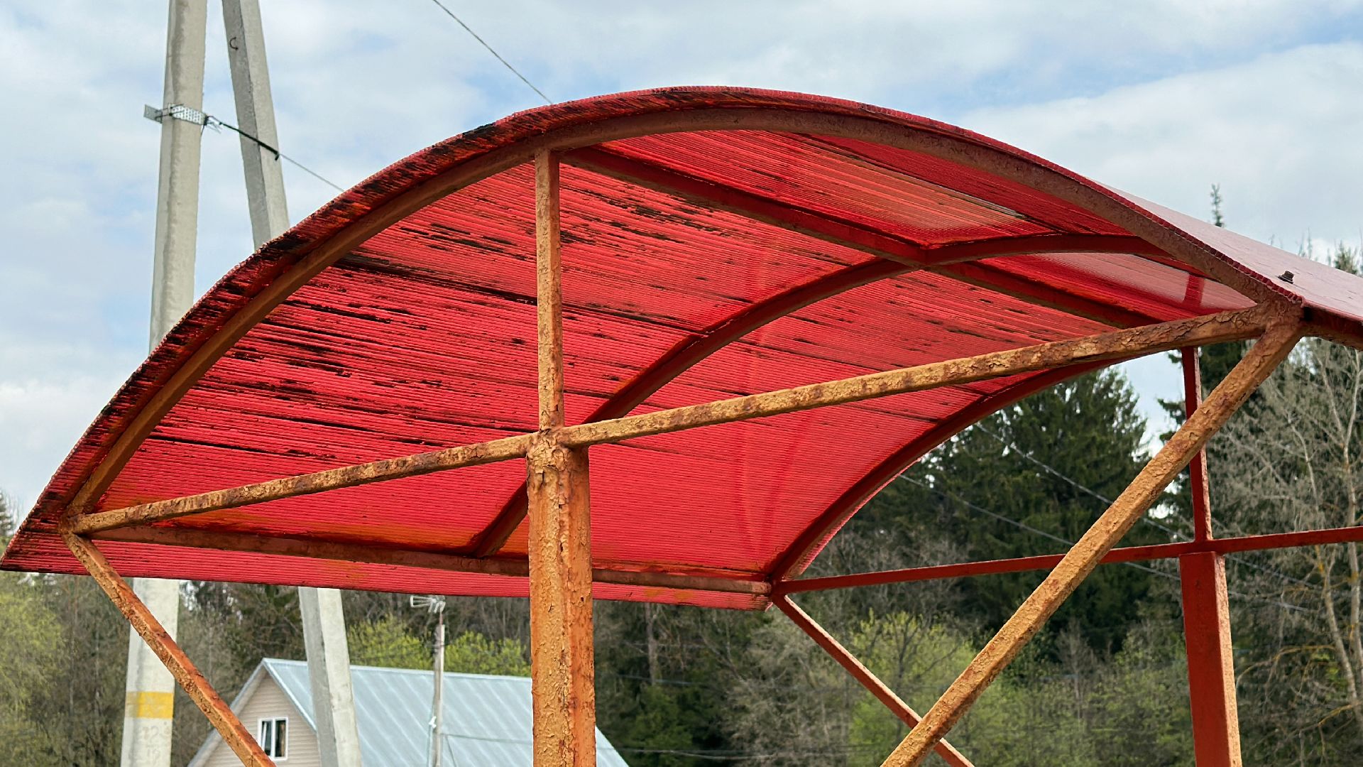 Клин, общество, леса, безопасность, пожары в лесах, отдых на природе,