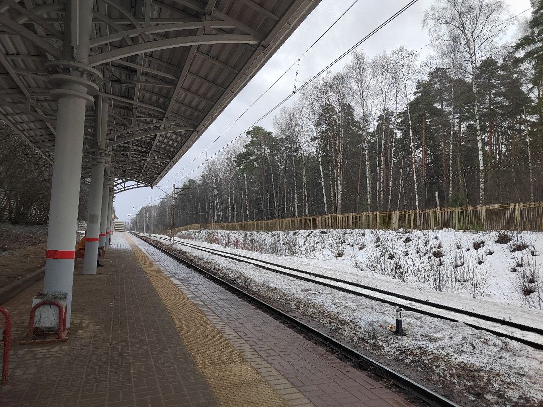 Пушкино, Пушкинский округ, Ивантеевка, полиция, уголовное дело, наркотики, преступник, электропоезд, транспортная полиция, закон и порядок