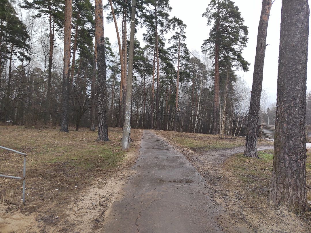 Пушкино, Пушкинский округ, Ивантеевка, полиция, уголовное дело, наркотики, преступник, электропоезд, транспортная полиция, закон и порядок