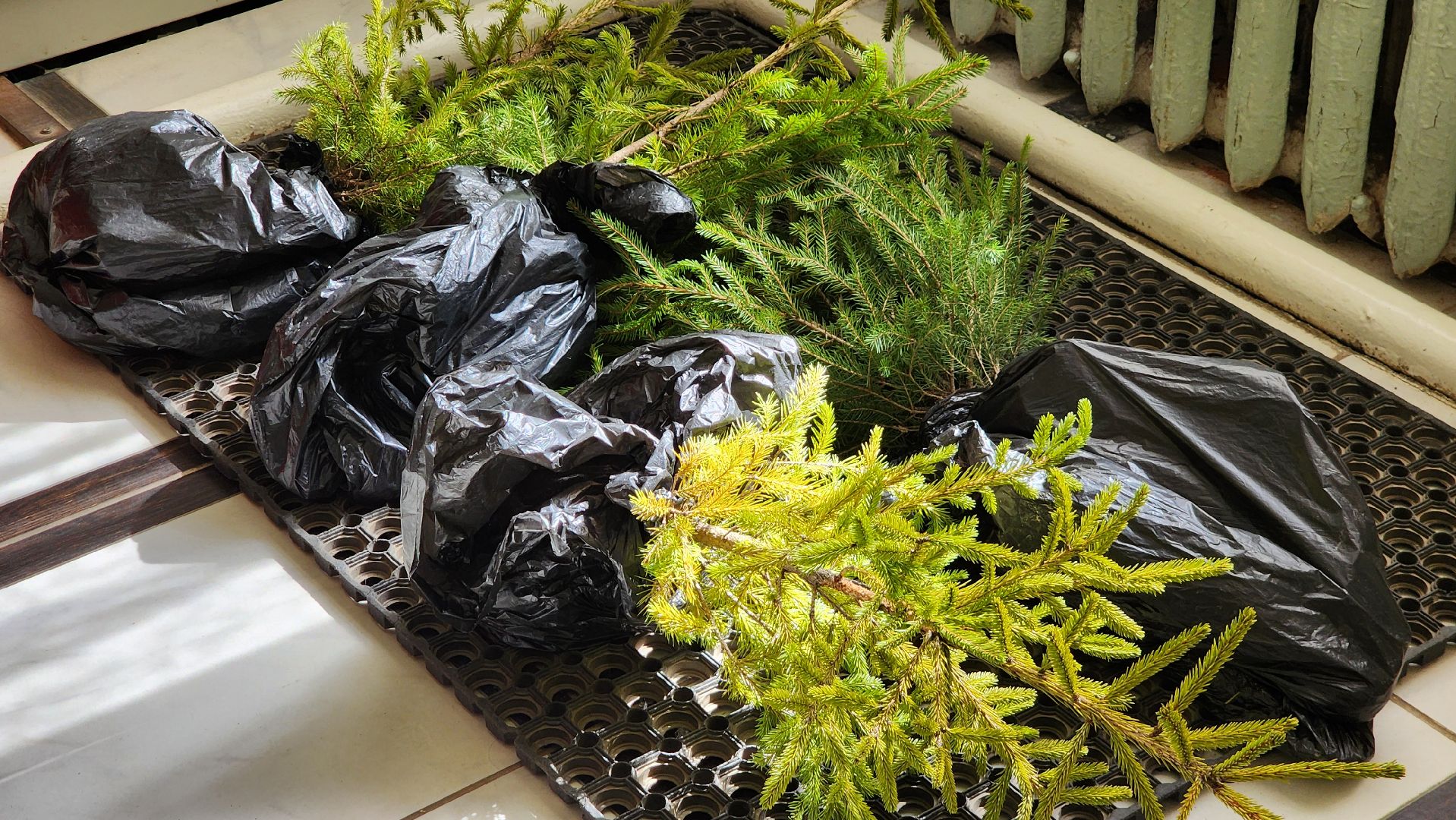 Егорьевск, Подмосковье, Московская область, экологическая акция, школьники,