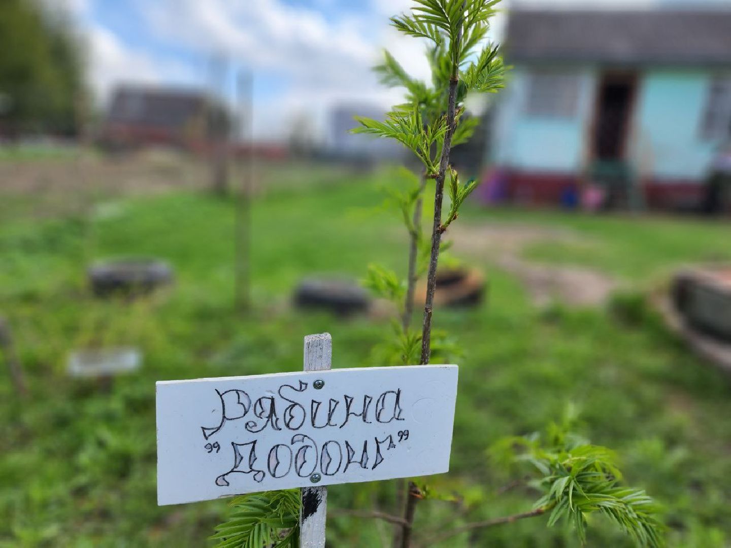 можайск, можайский городской округ, подмосковье, питомник, дети, школьные лесничества, юные лесничие, сад, своими руками, весенние работы, друзья леса, экология, тропарево, участковое лесничество, мособллес,