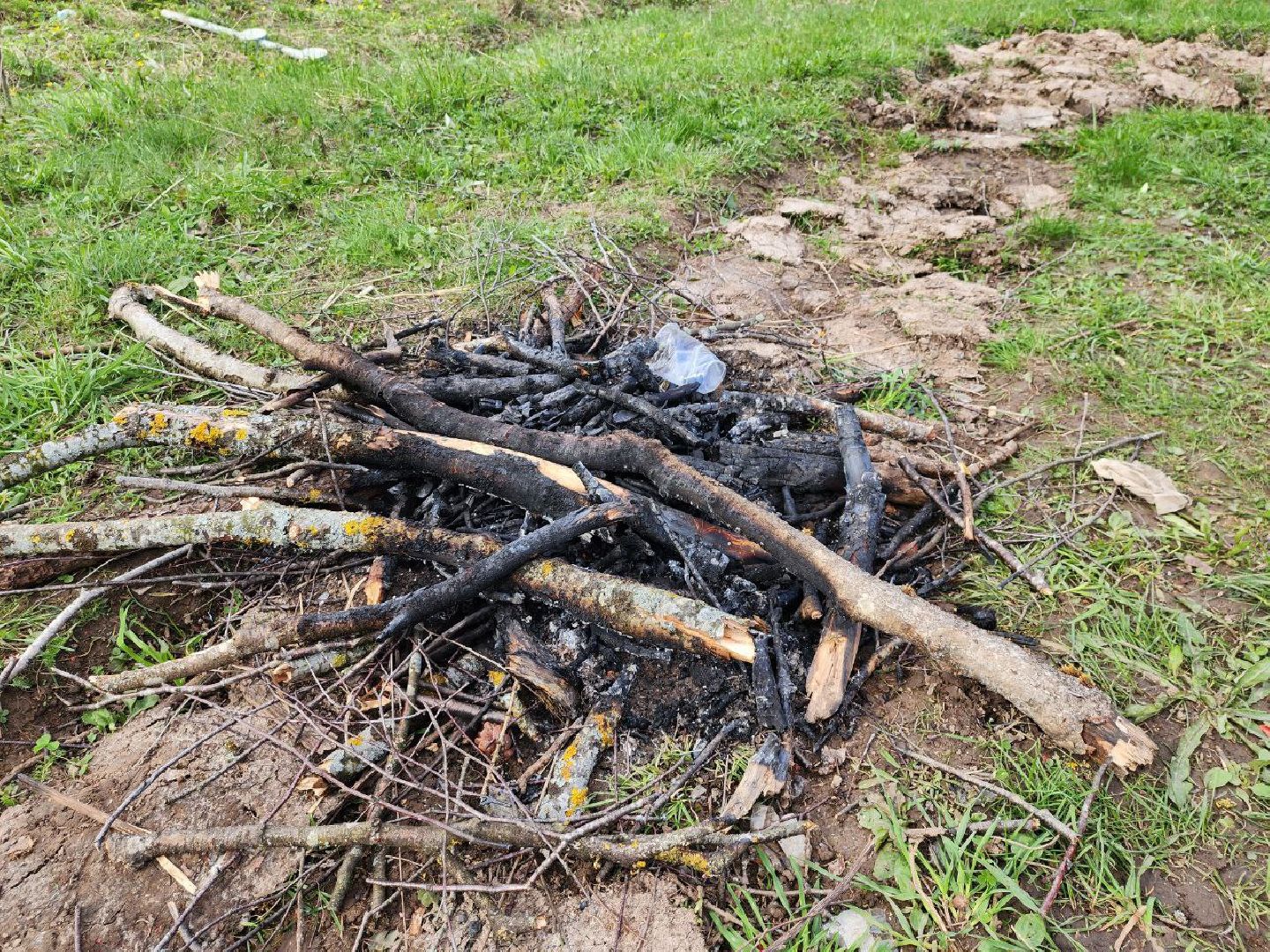 можайск, можайский городской округ, подмосковье, зоны отдыха, весна, лес, пожароопасный сезон, отдых в лесах,