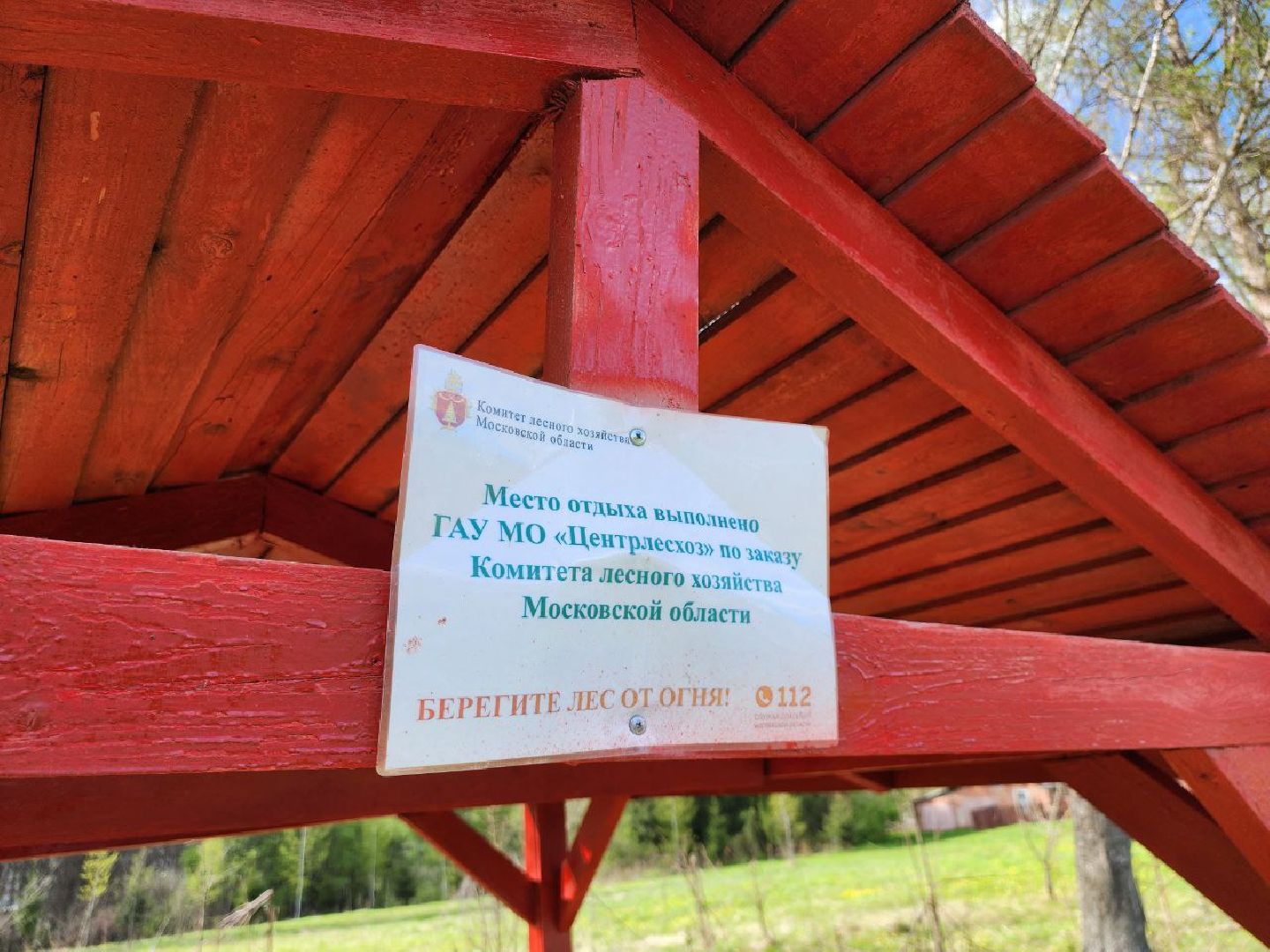 можайск, можайский городской округ, подмосковье, зоны отдыха, весна, лес, пожароопасный сезон, отдых в лесах,