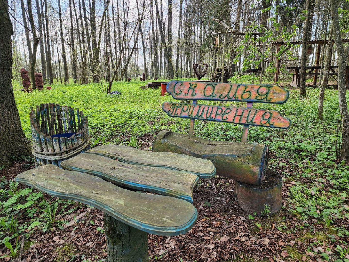 можайск, можайский городской округ, подмосковье, парк памяти, зона отдыха, лес, комитет лесного хозяйства, парк в лесу, благоустроенная территория,