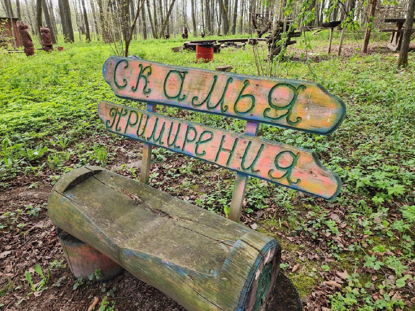 можайск, можайский городской округ, подмосковье, парк памяти, зона отдыха, лес, комитет лесного хозяйства, парк в лесу, благоустроенная территория,