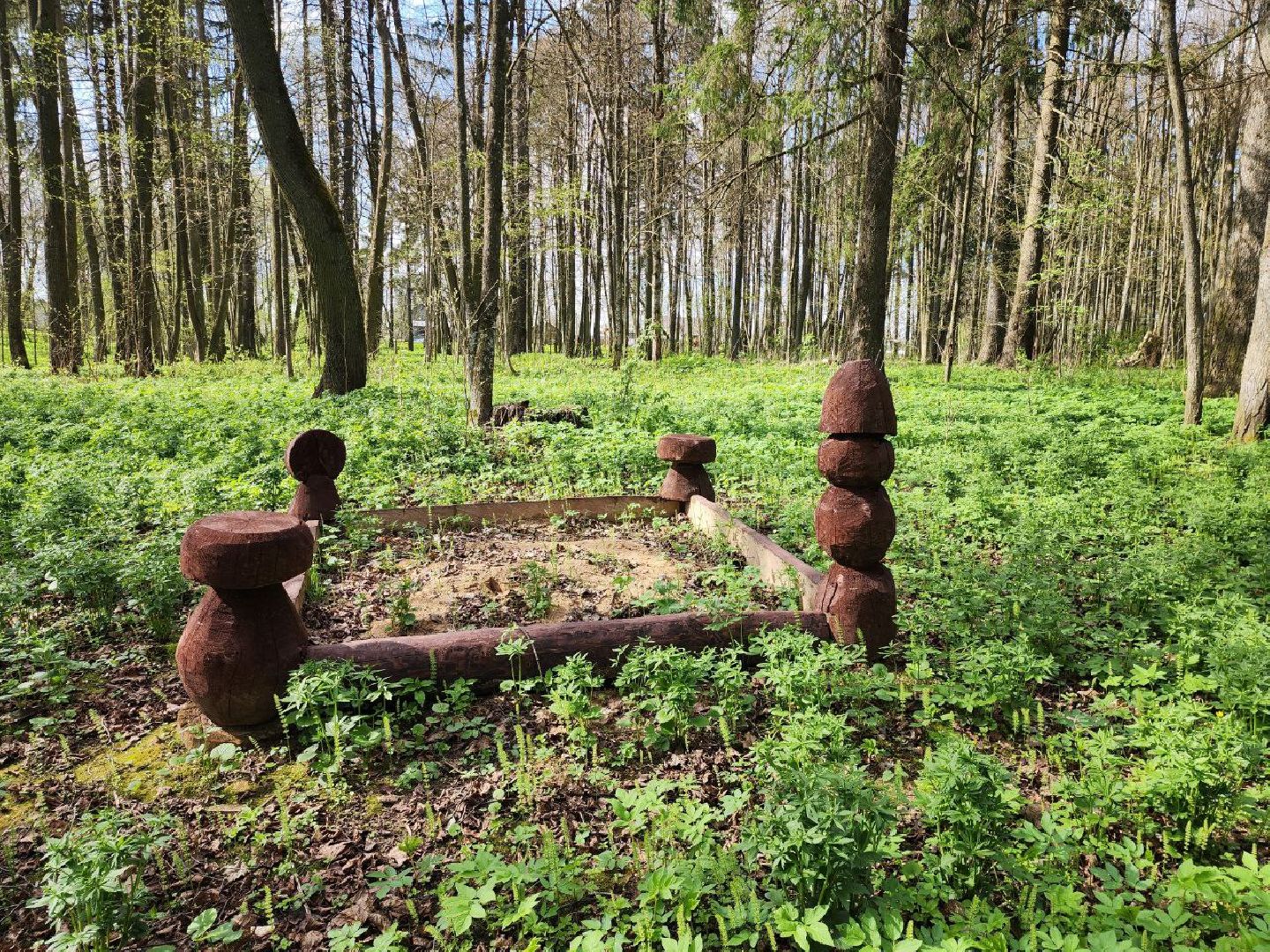 можайск, можайский городской округ, подмосковье, парк памяти, зона отдыха, лес, комитет лесного хозяйства, парк в лесу, благоустроенная территория,