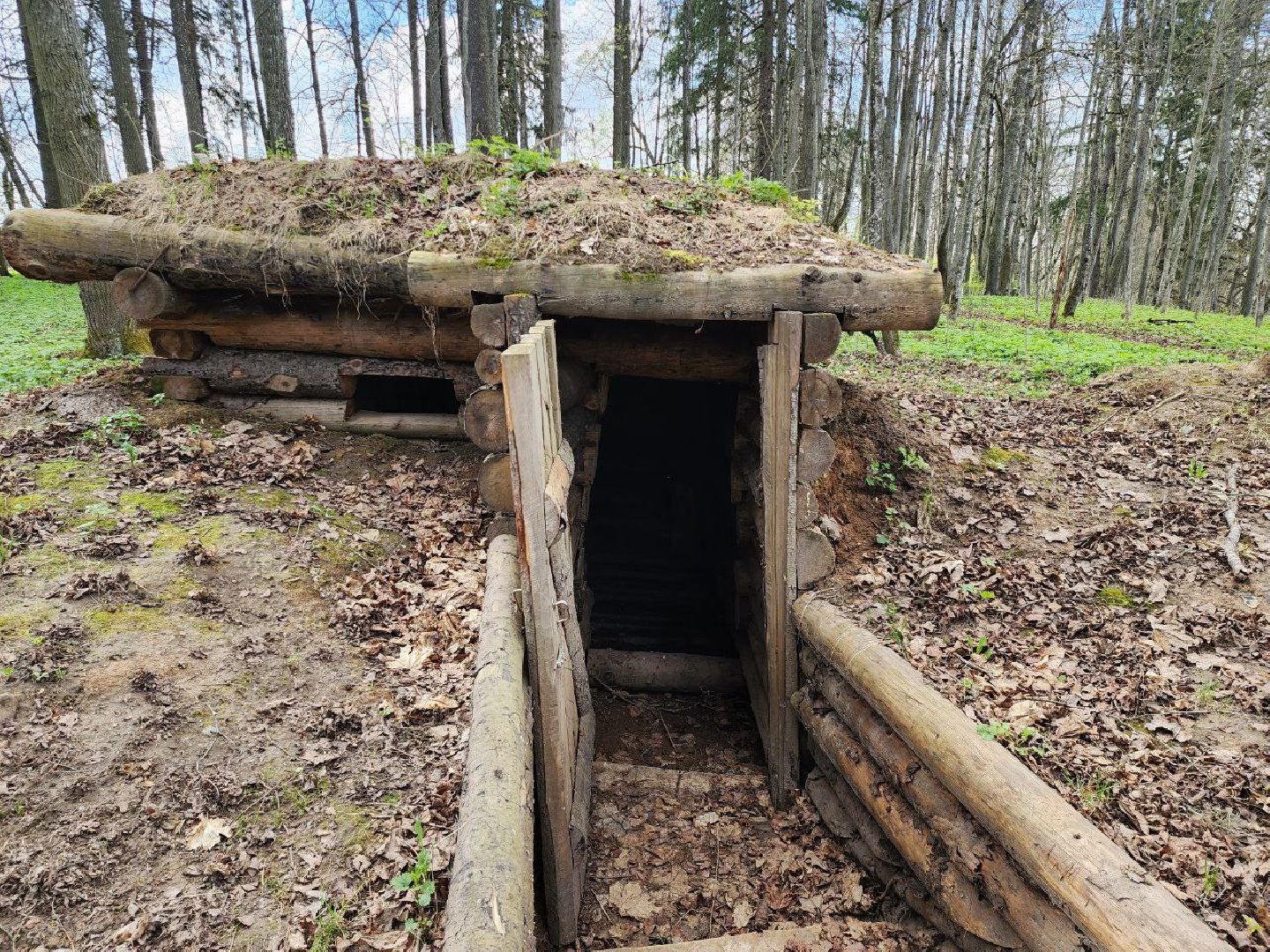 можайск, можайский городской округ, подмосковье, парк памяти, зона отдыха, лес, комитет лесного хозяйства, парк в лесу, благоустроенная территория,