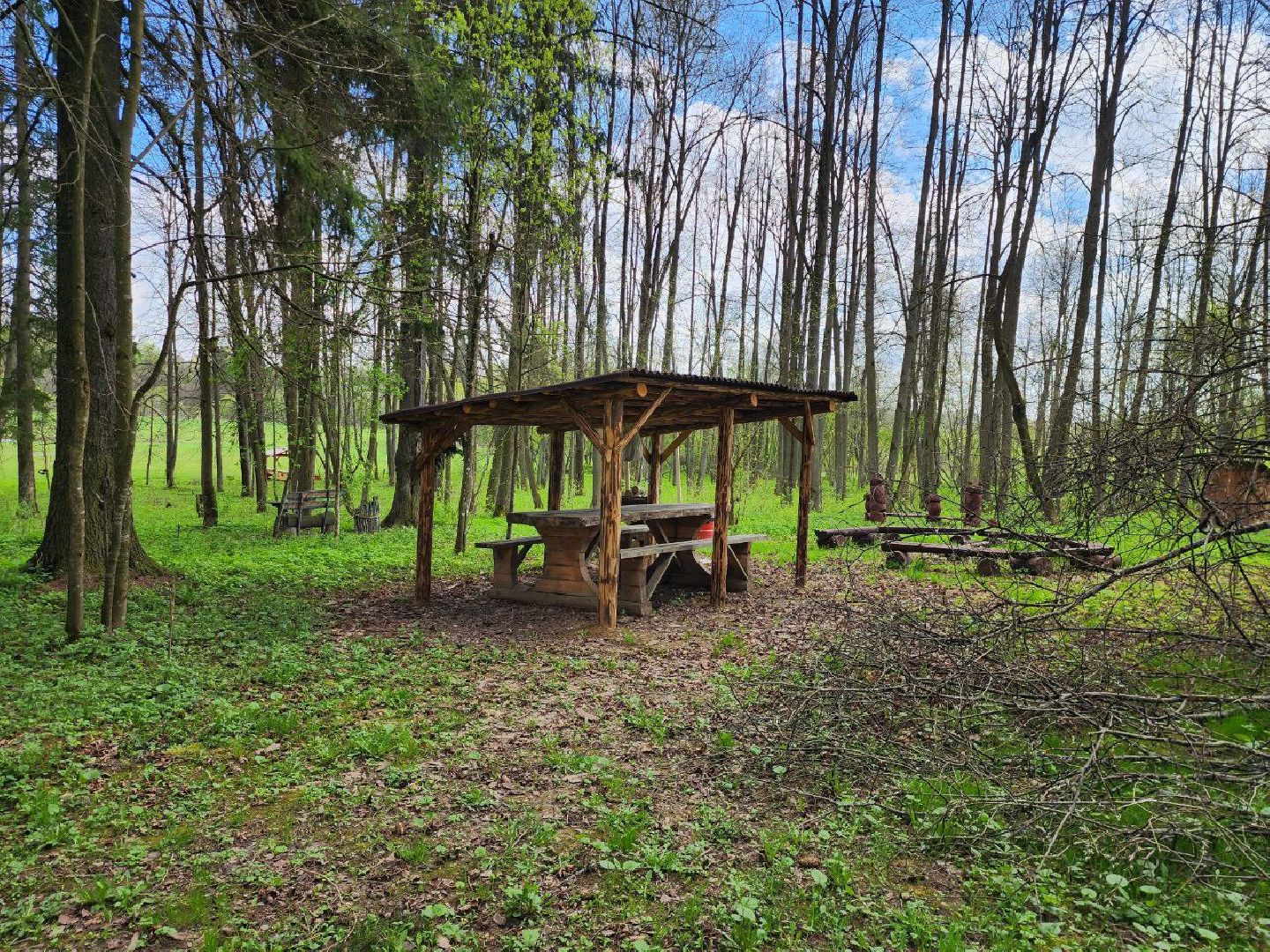 можайск, можайский городской округ, подмосковье, парк памяти, зона отдыха, лес, комитет лесного хозяйства, парк в лесу, благоустроенная территория,