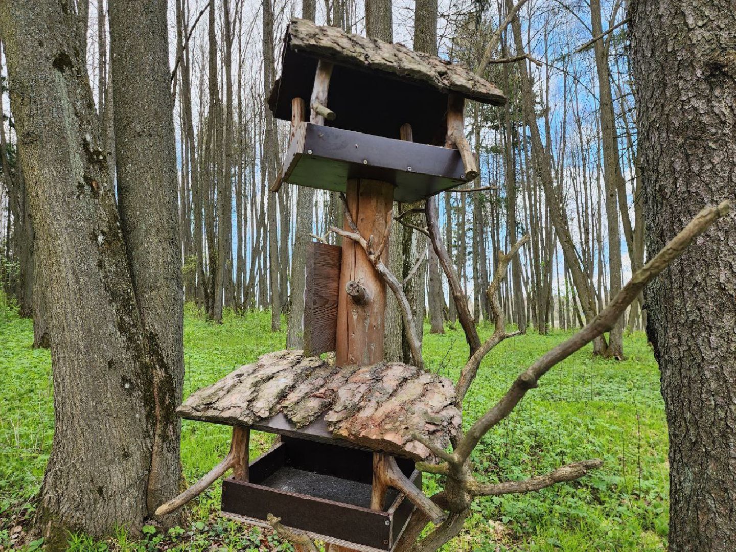 можайск, можайский городской округ, подмосковье, парк памяти, зона отдыха, лес, комитет лесного хозяйства, парк в лесу, благоустроенная территория,