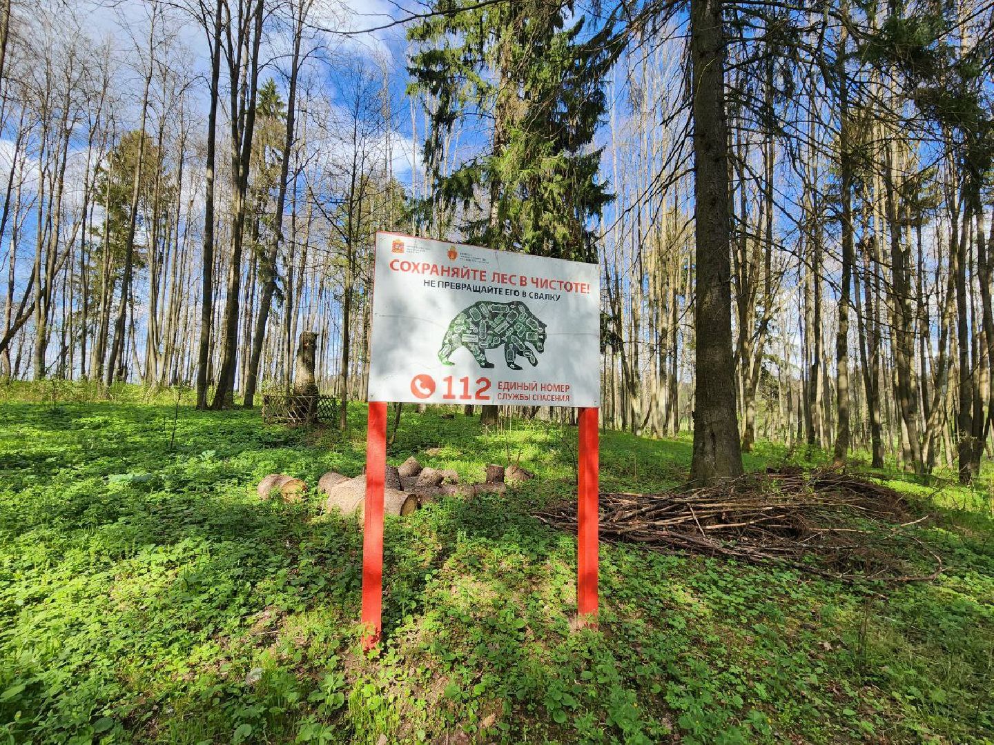 можайск, можайский городской округ, подмосковье, парк памяти, зона отдыха, лес, комитет лесного хозяйства, парк в лесу, благоустроенная территория,