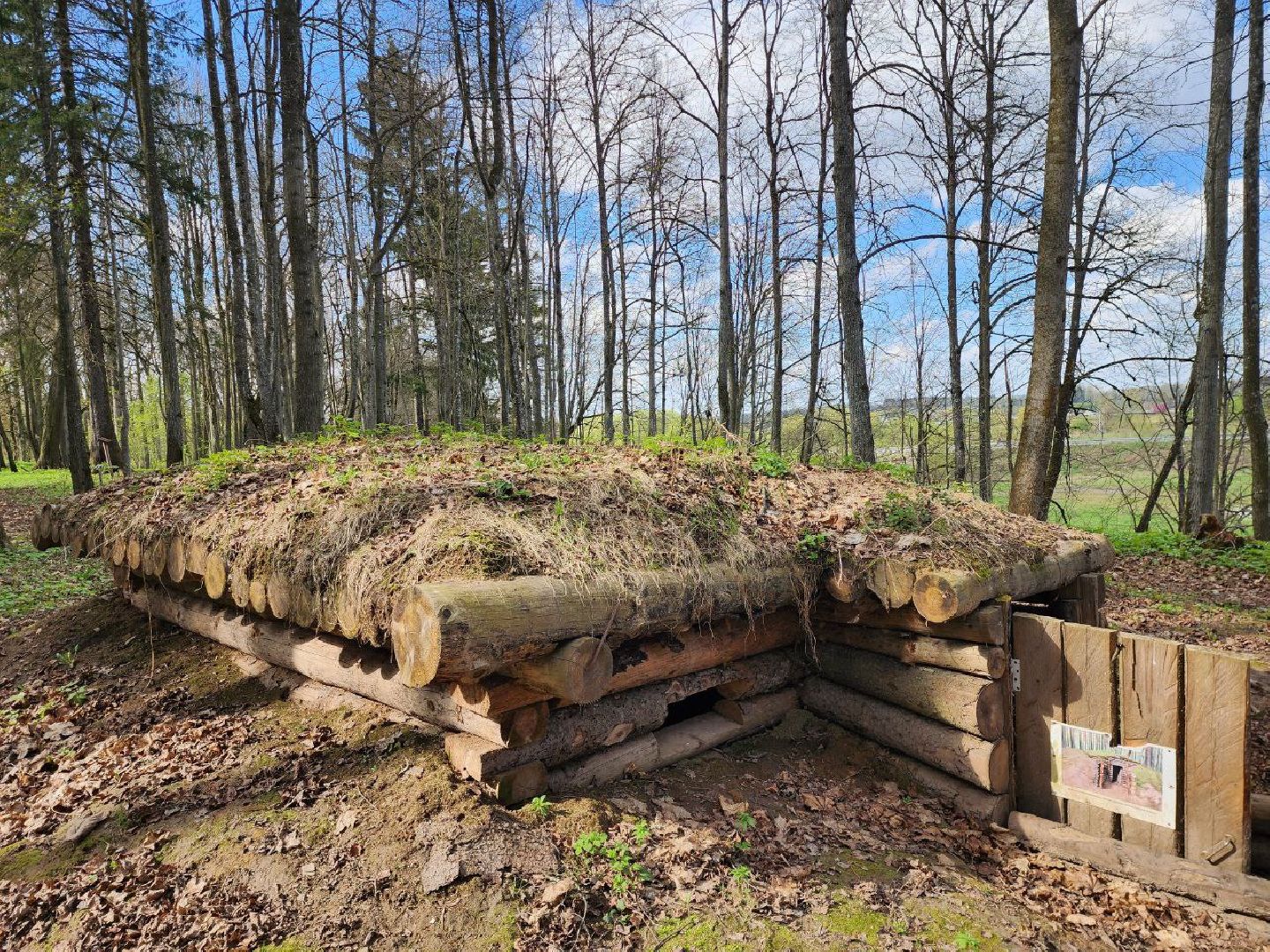 можайск, можайский городской округ, подмосковье, парк памяти, зона отдыха, лес, комитет лесного хозяйства, парк в лесу, благоустроенная территория,