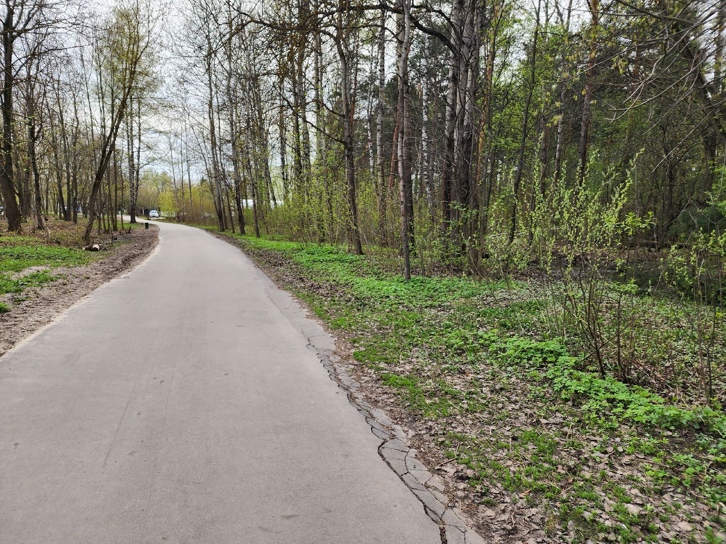 субботник, орехово-зуевский округ,