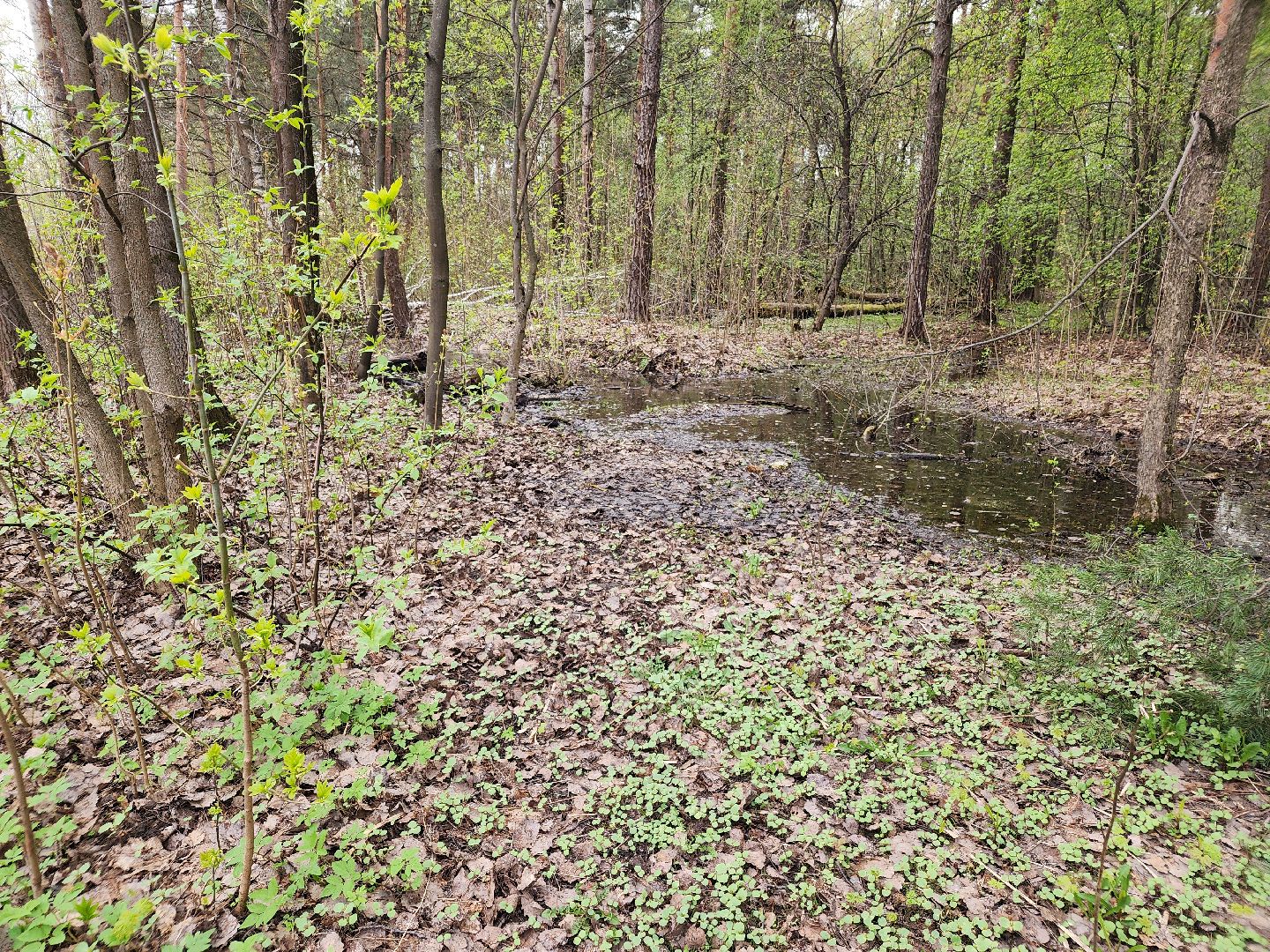 субботник, орехово-зуевский округ,