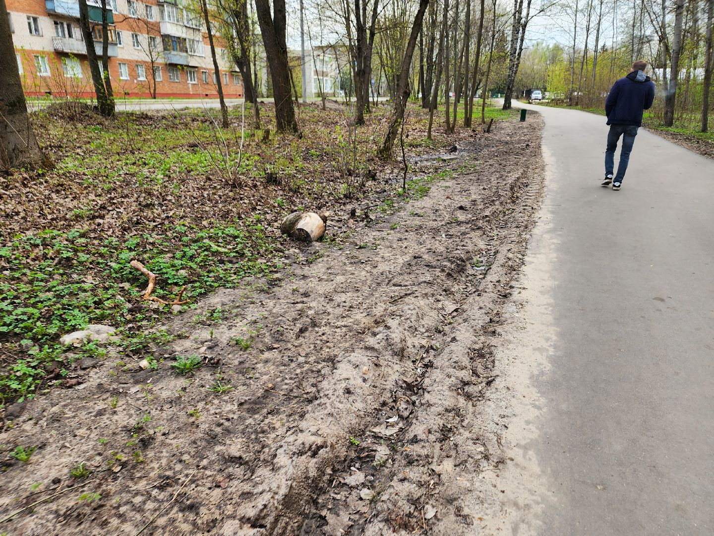 субботник, орехово-зуевский округ,