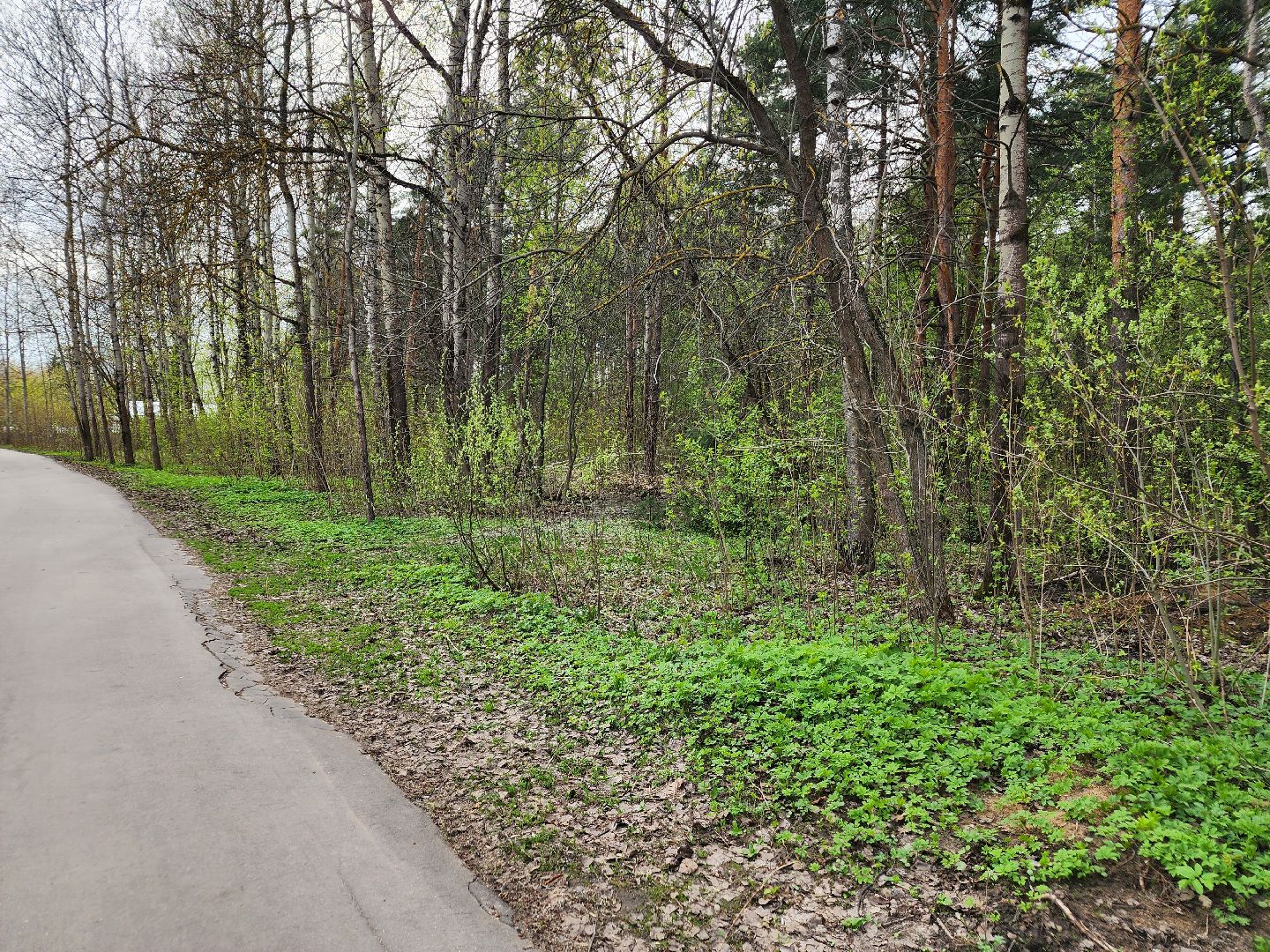 субботник, орехово-зуевский округ,