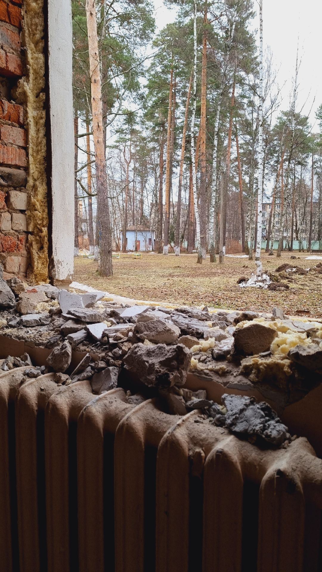 Подмосковье, Пушкино, Здравоохранение Подмосковья, капремонт