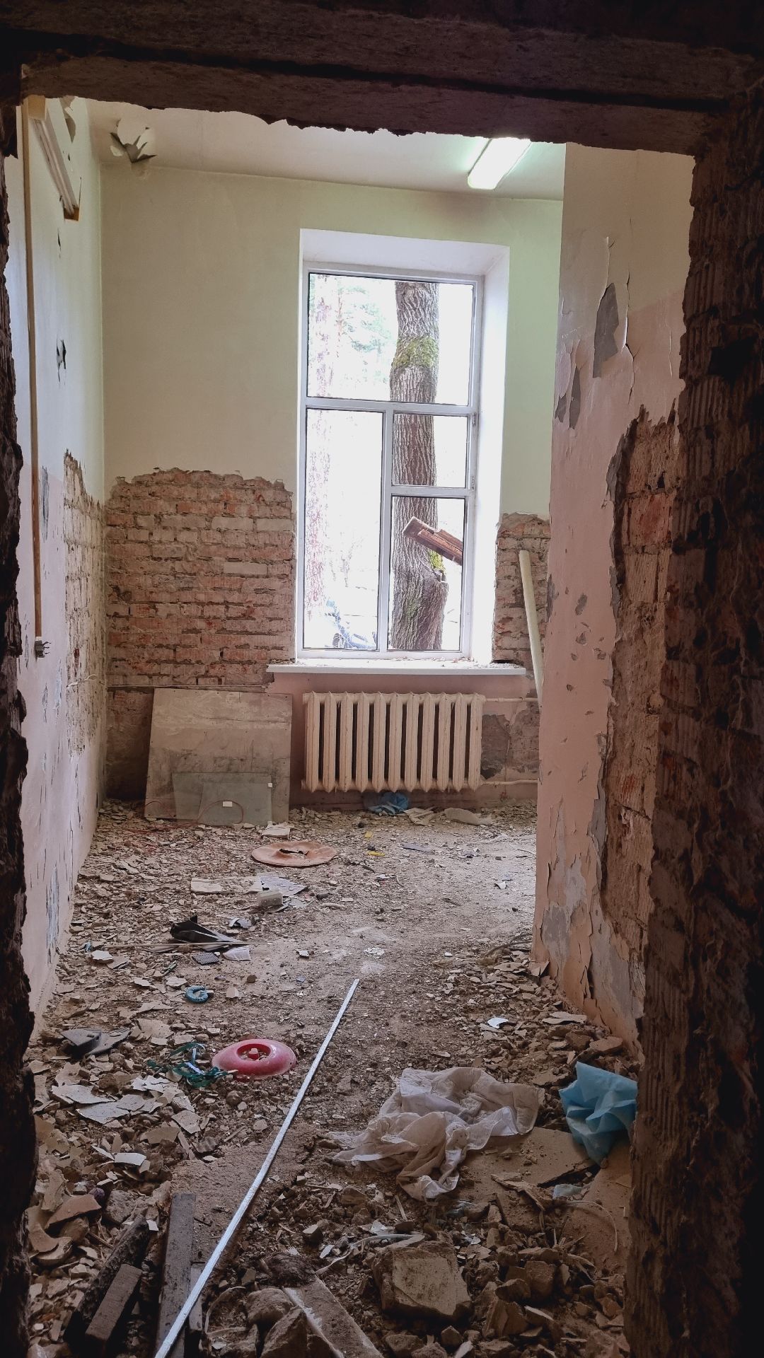 Подмосковье, Пушкино, Здравоохранение Подмосковья, капремонт