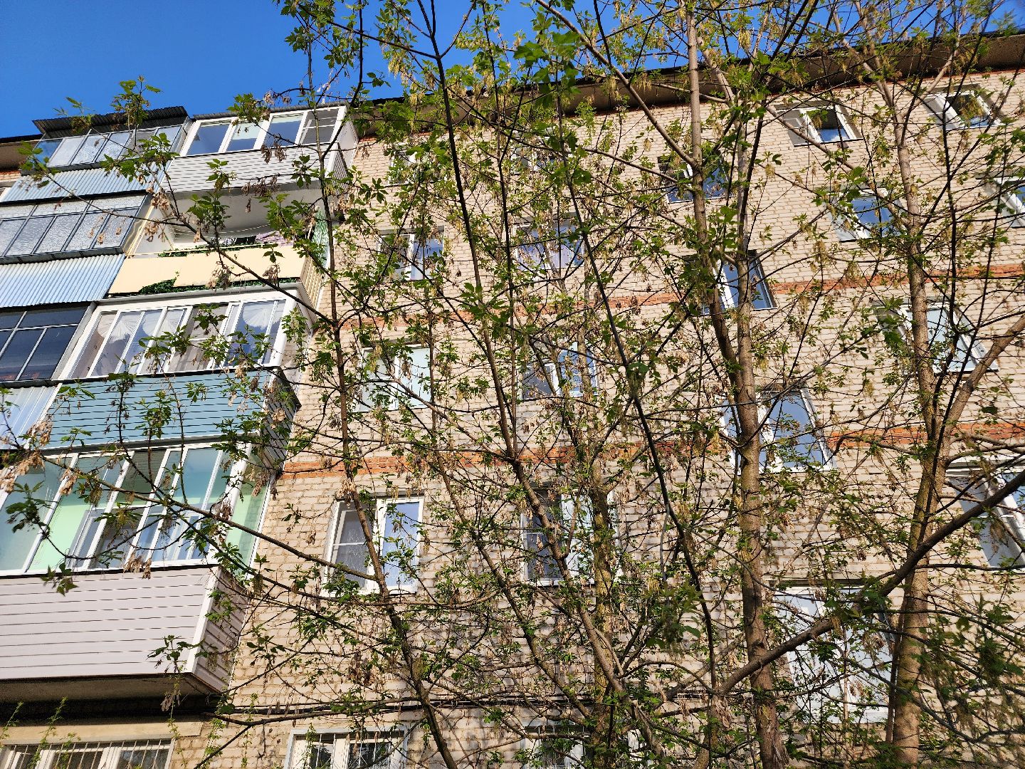 выездная администрация, орехово-зуевский округ,