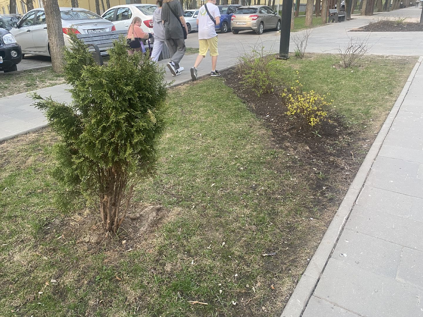 благоустройство территории, выездная администрация, ЗАТО Власиха, встреча администрации с жителями, нам не все равно,