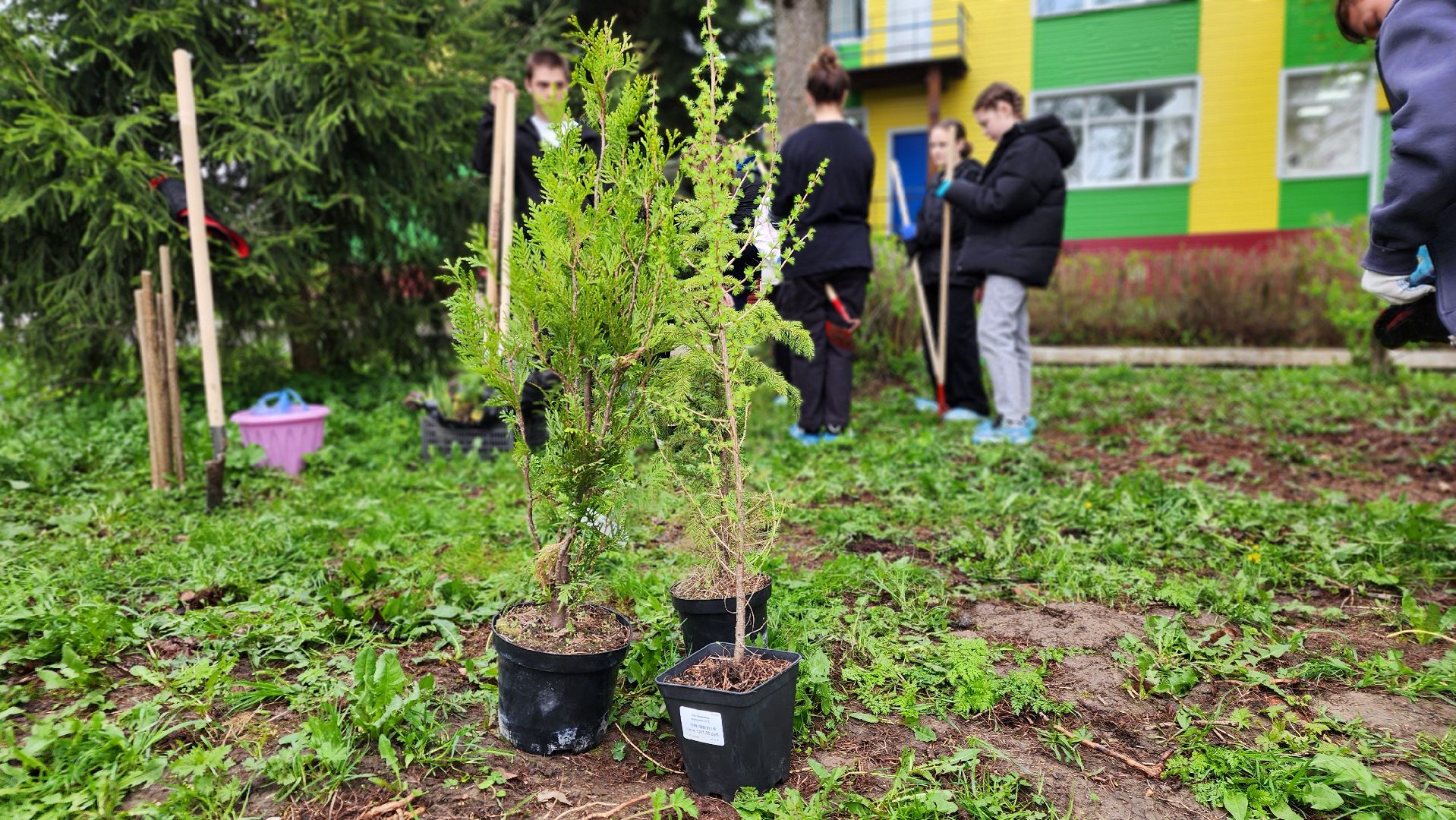 ступино, агрошкола ступино, образование подмосковья, Дендрарий,