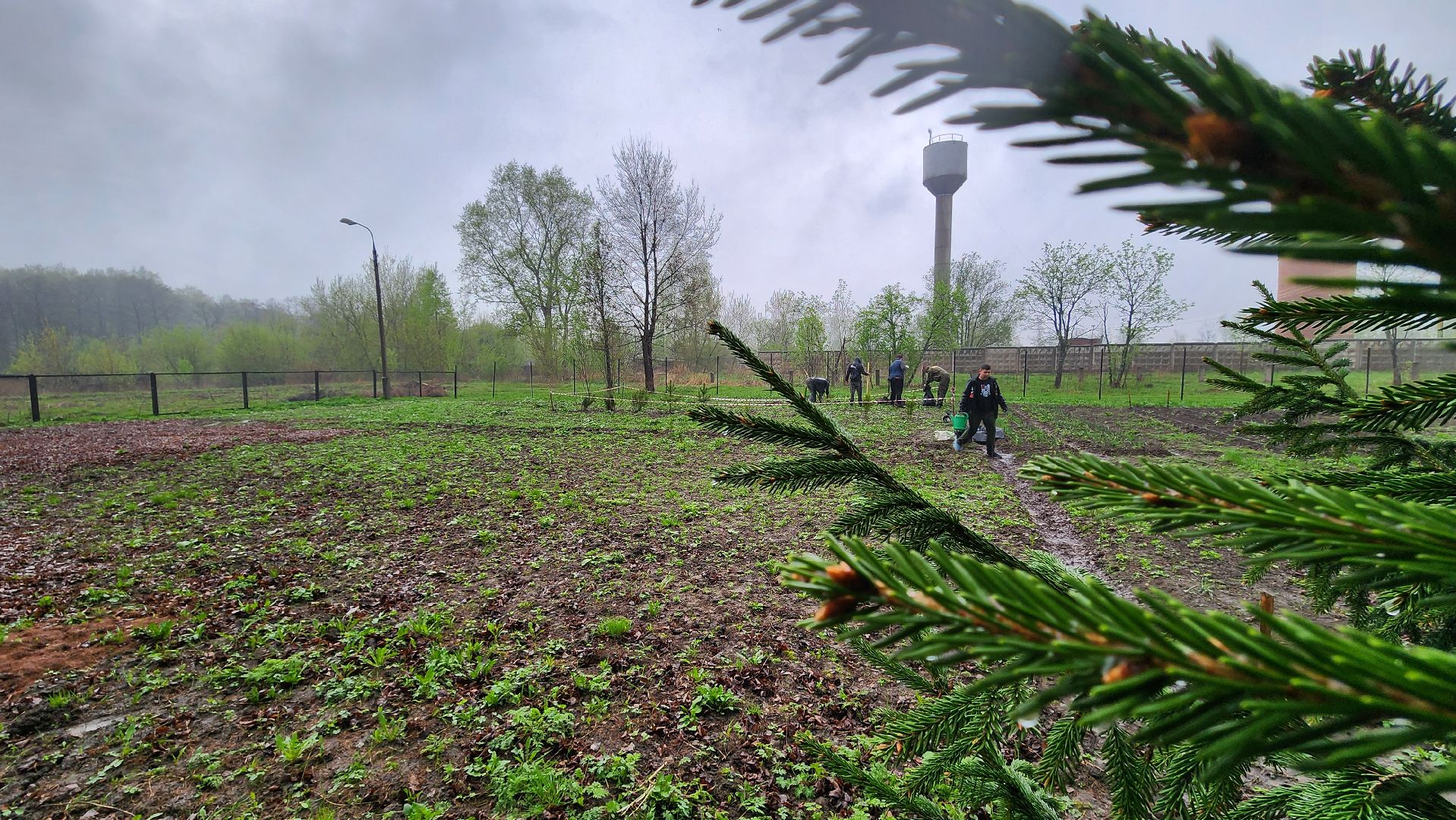 ступино, агрошкола ступино, образование подмосковья, Дендрарий,