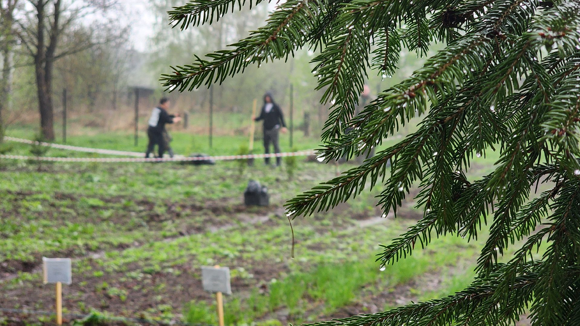 ступино, агрошкола ступино, образование подмосковья, Дендрарий,