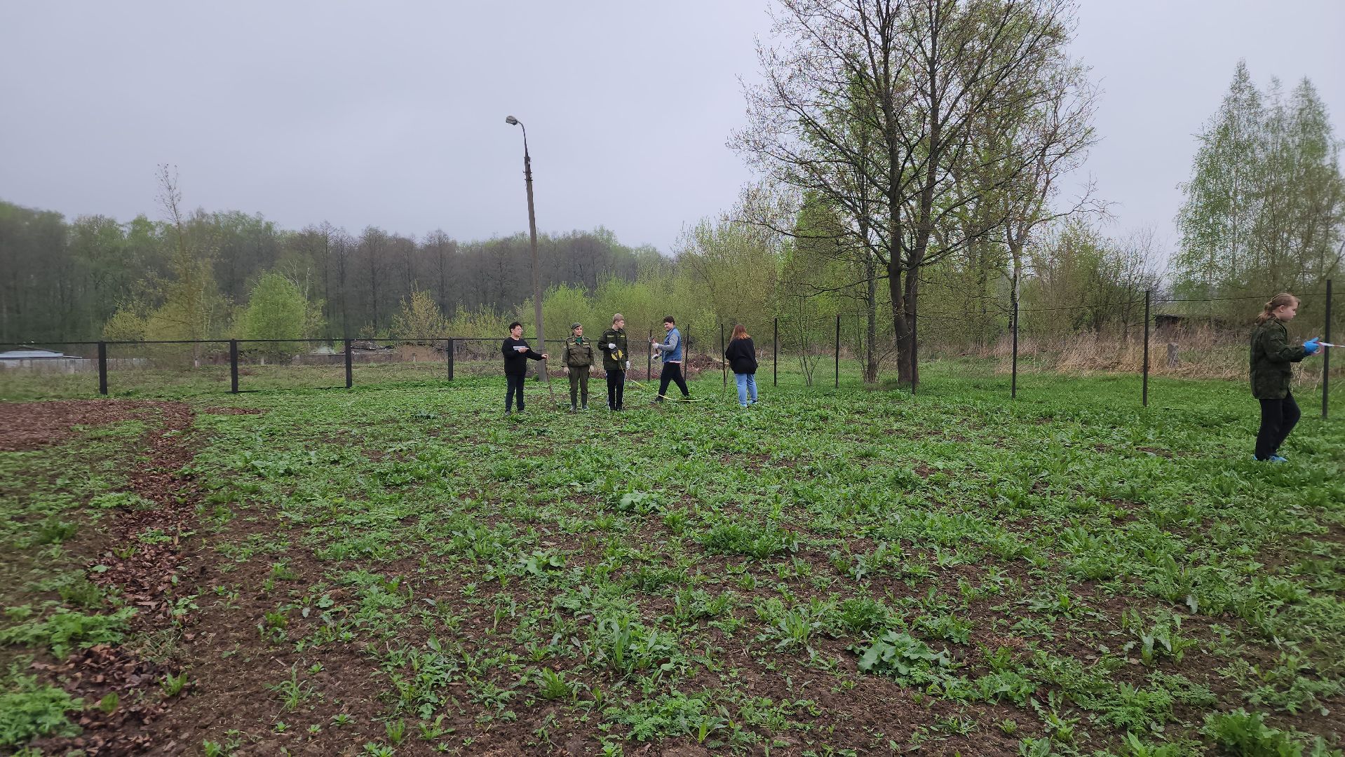 ступино, агрошкола ступино, образование подмосковья, Дендрарий,